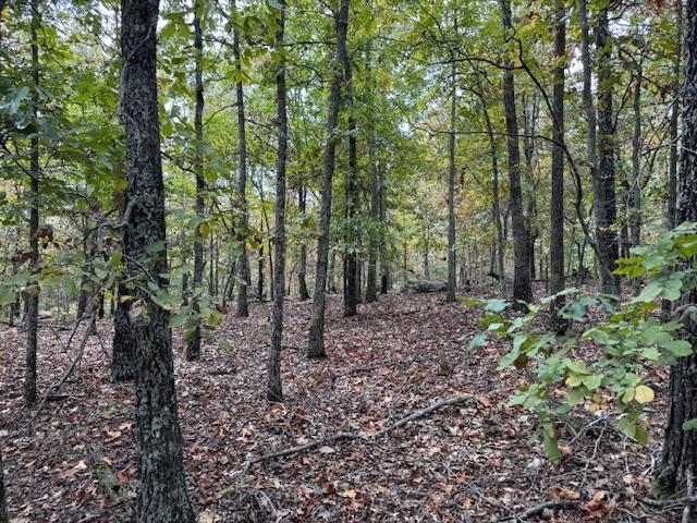 253 Coyote Rd  Salem, AR