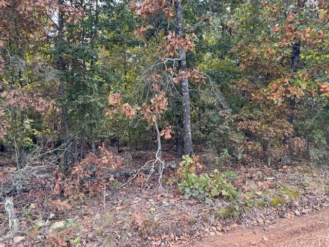 253 Coyote Rd  Salem, AR