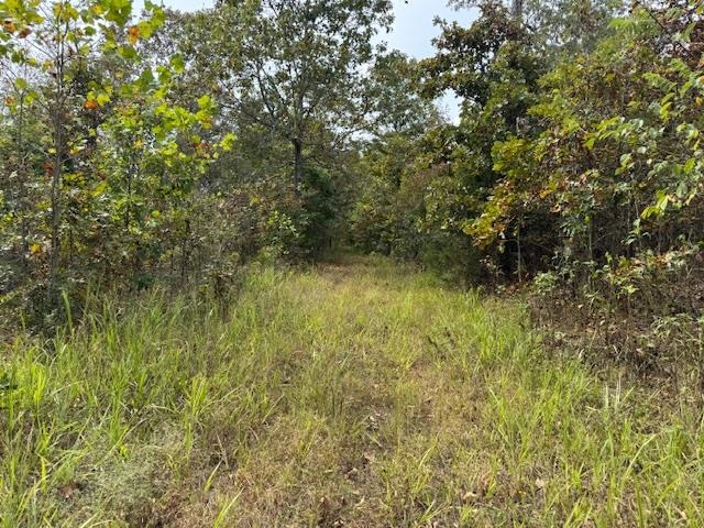 253 Coyote Rd  Salem, AR
