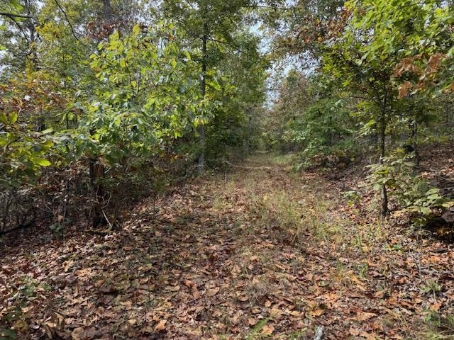 253 Coyote Rd  Salem, AR