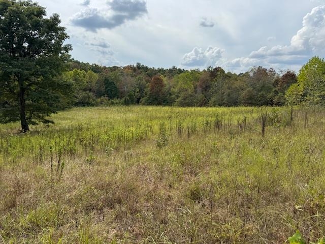 253 Coyote Rd  Salem, AR