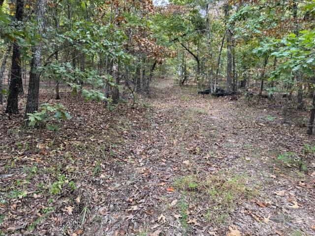 253 Coyote Rd  Salem, AR