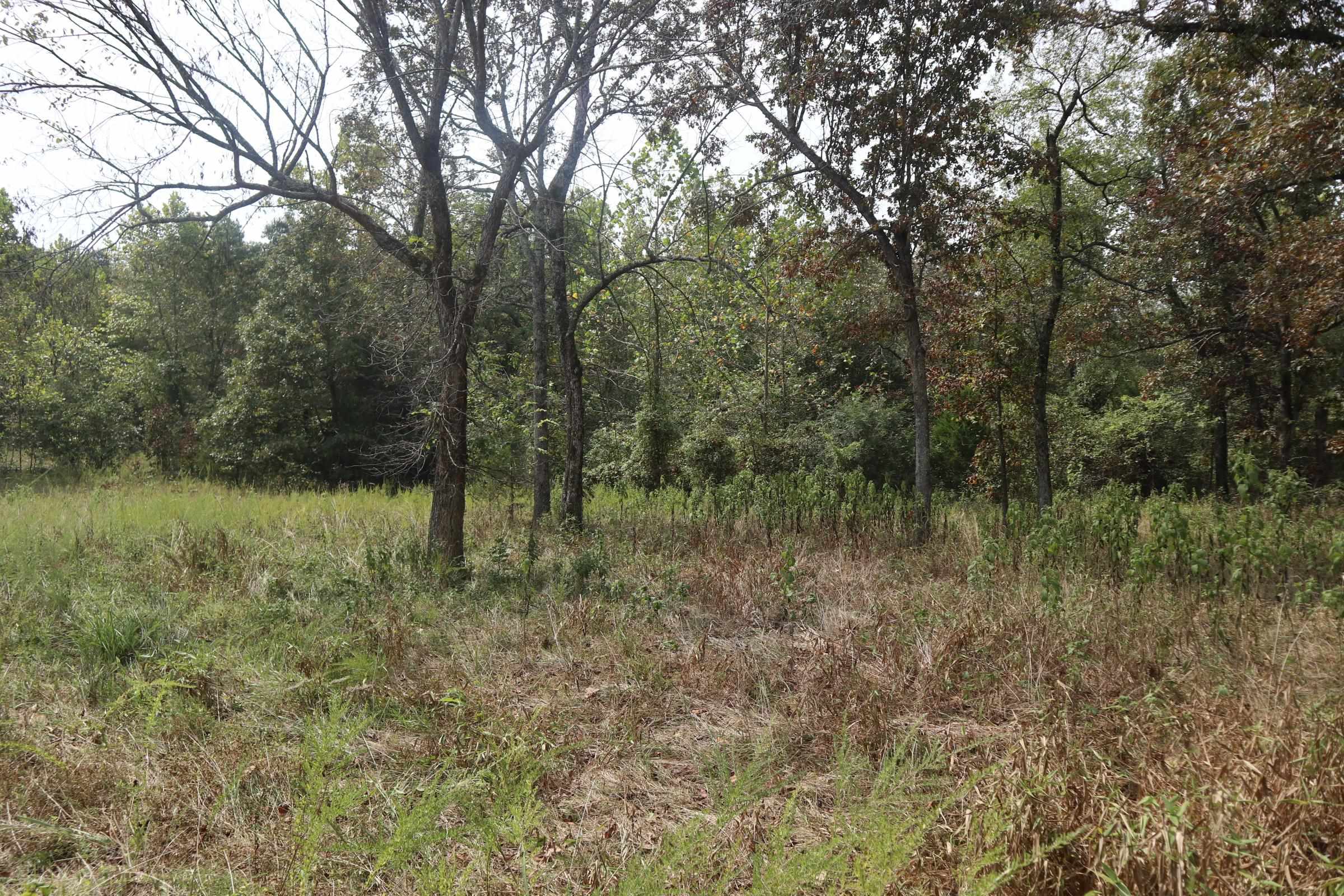 253 Coyote Rd  Salem, AR