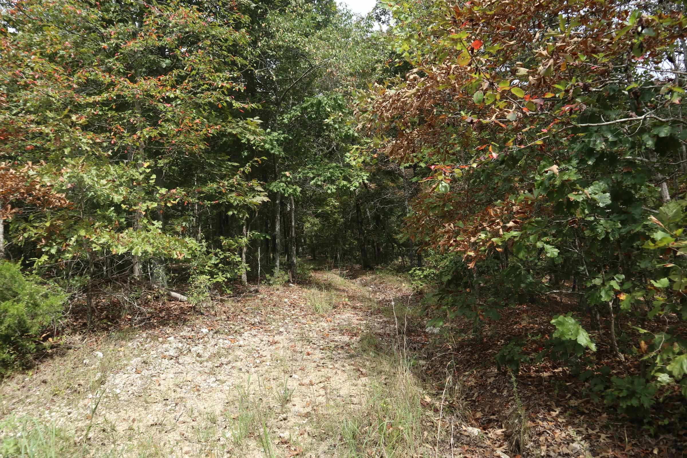 253 Coyote Rd  Salem, AR