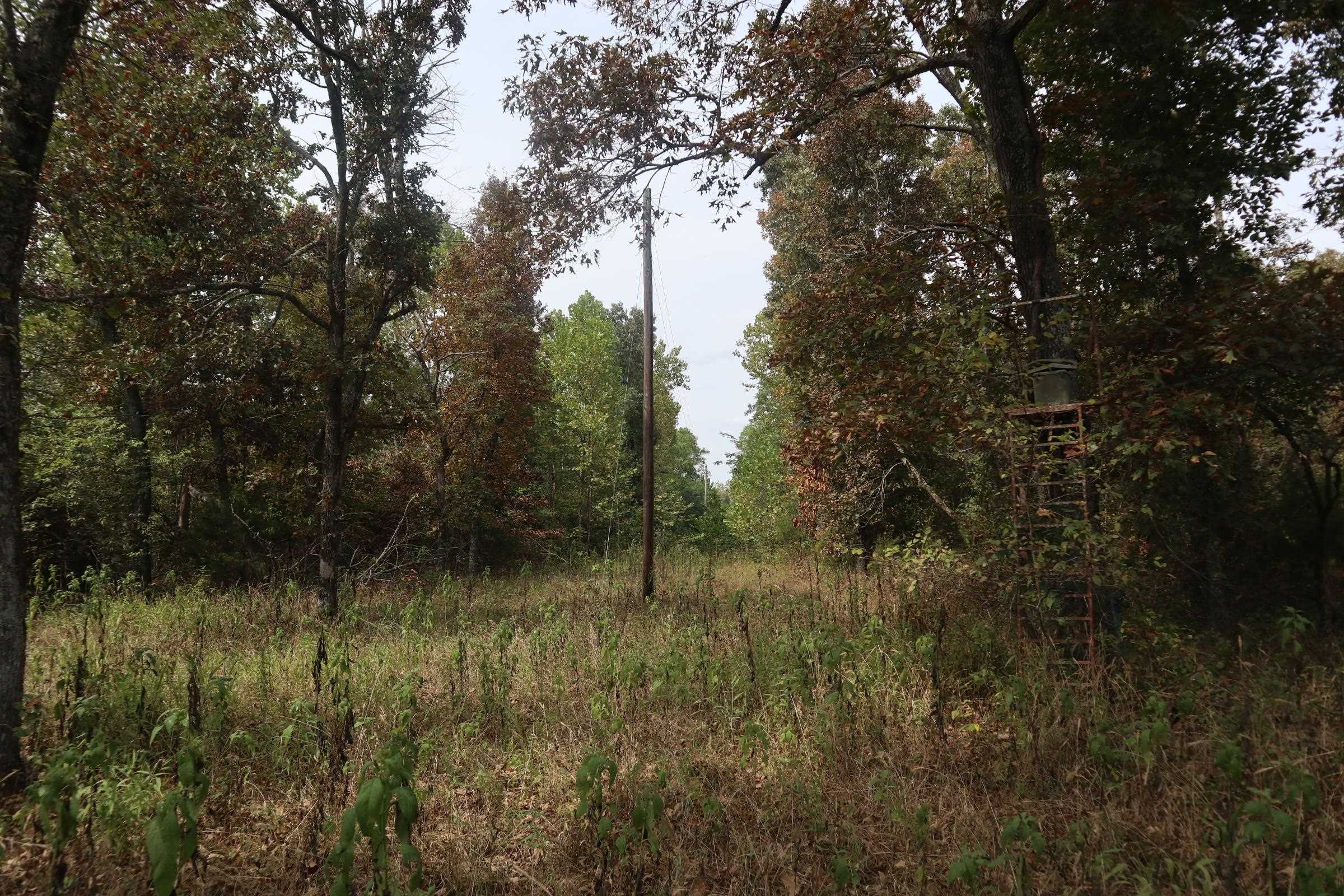 253 Coyote Rd  Salem, AR