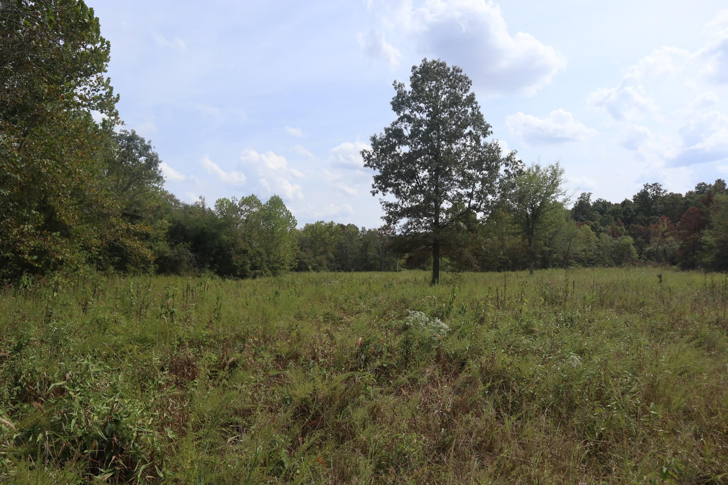 253 Coyote Rd  Salem, AR