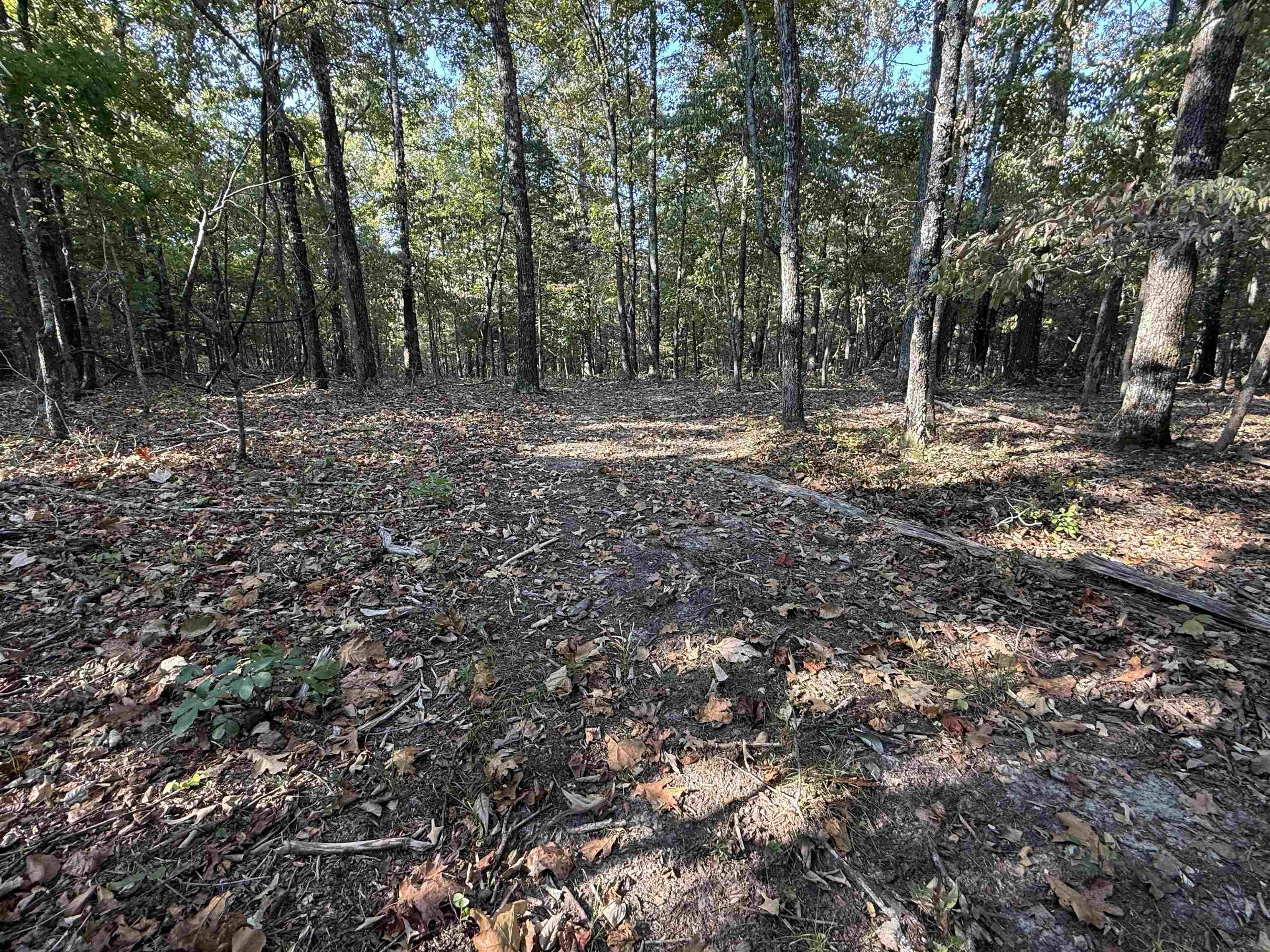 80A Spring Hill Road  Oxford, AR