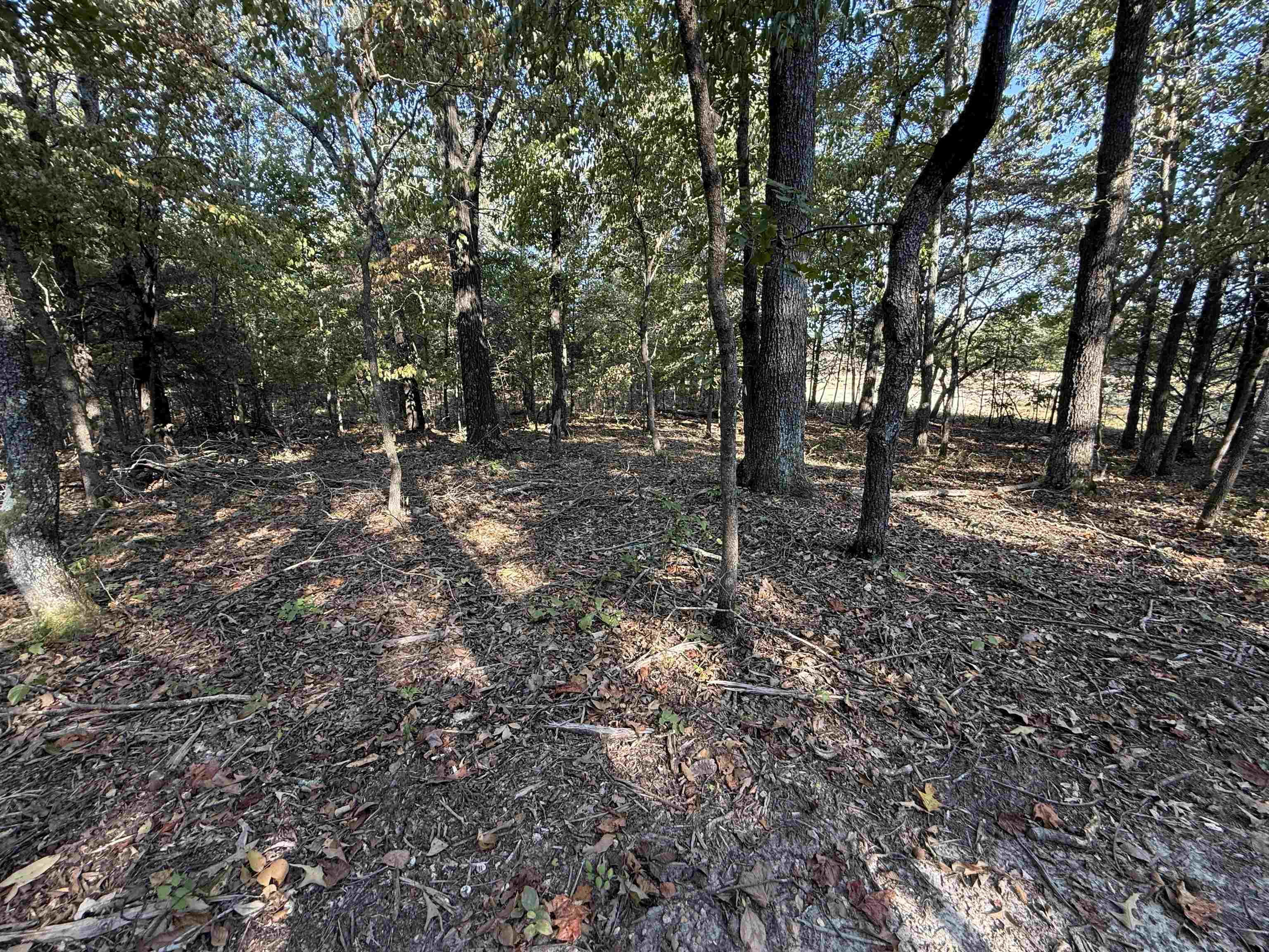 80A Spring Hill Road  Oxford, AR