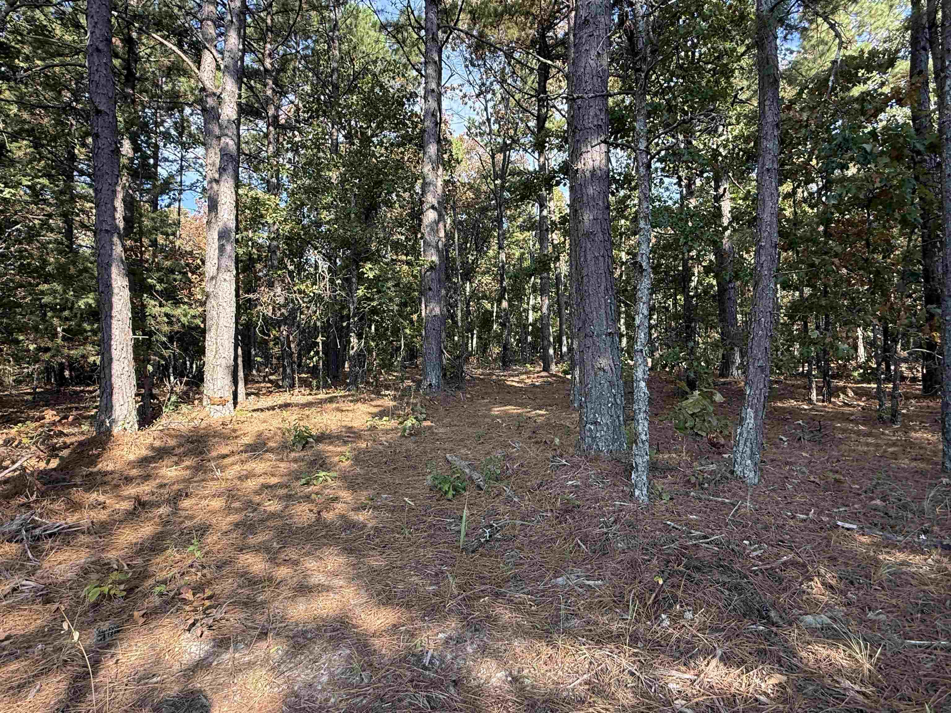 80A Spring Hill Road  Oxford, AR