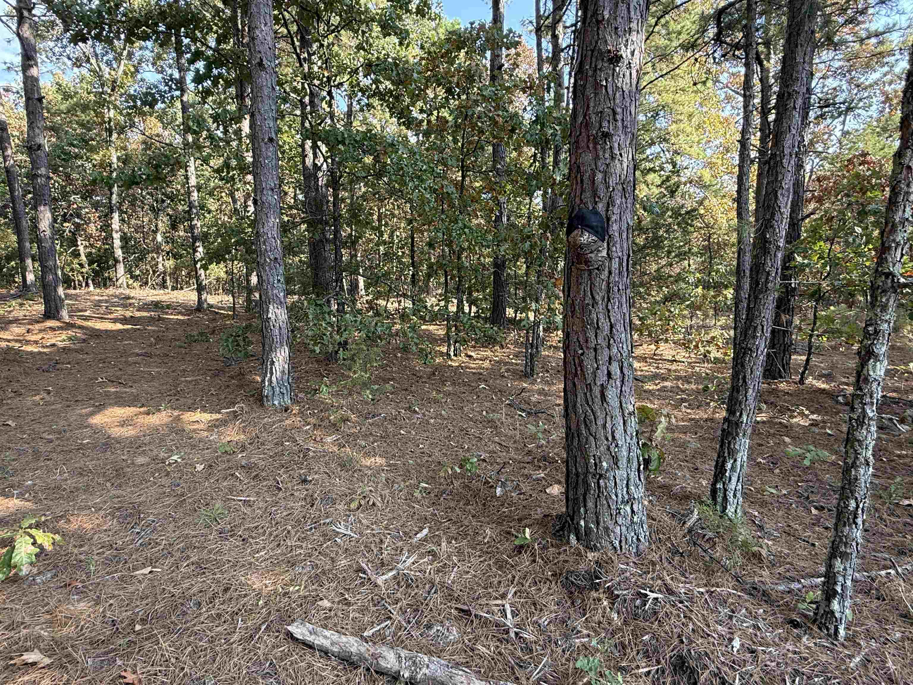 80A Spring Hill Road  Oxford, AR