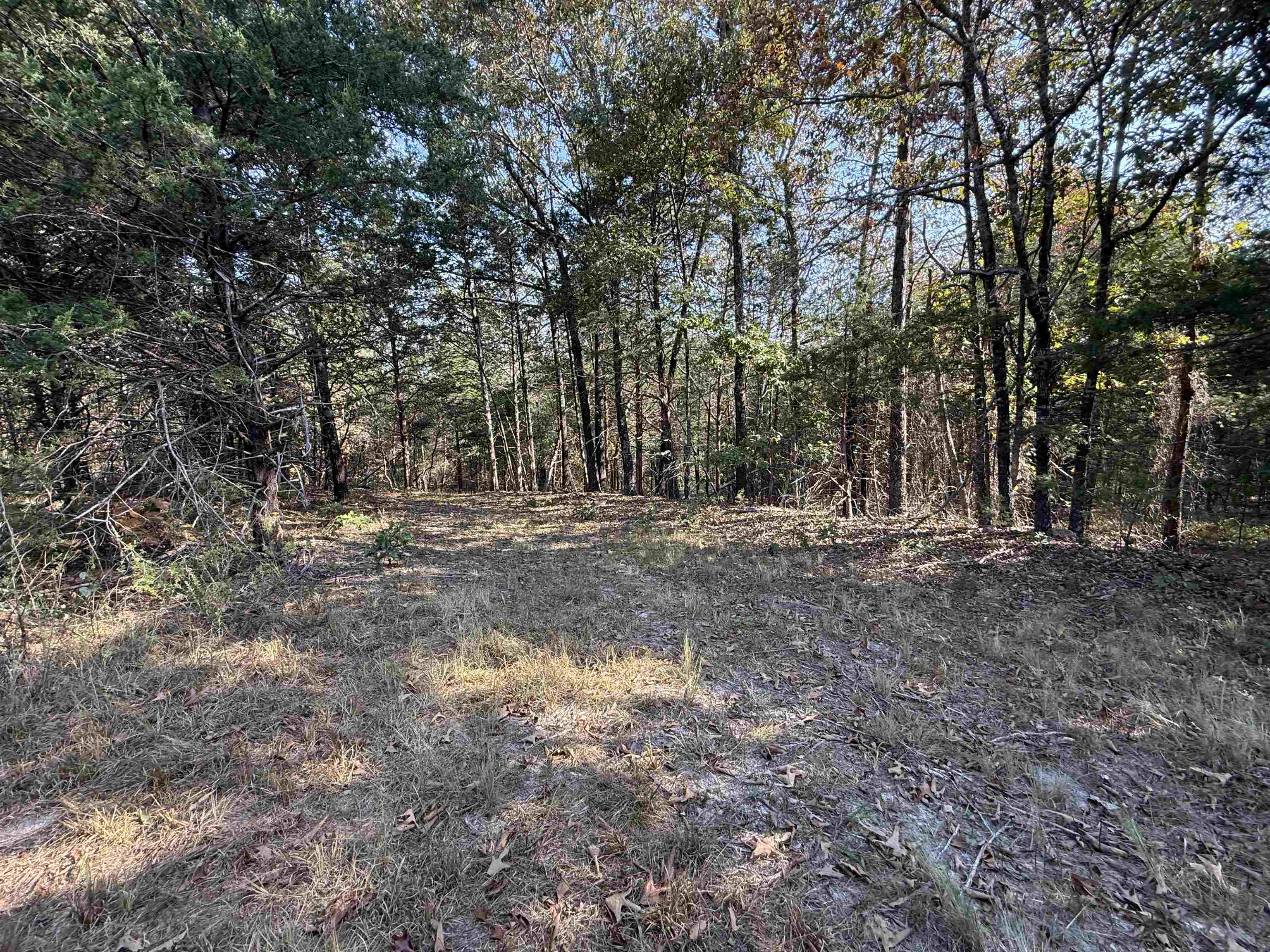 80A Spring Hill Road  Oxford, AR