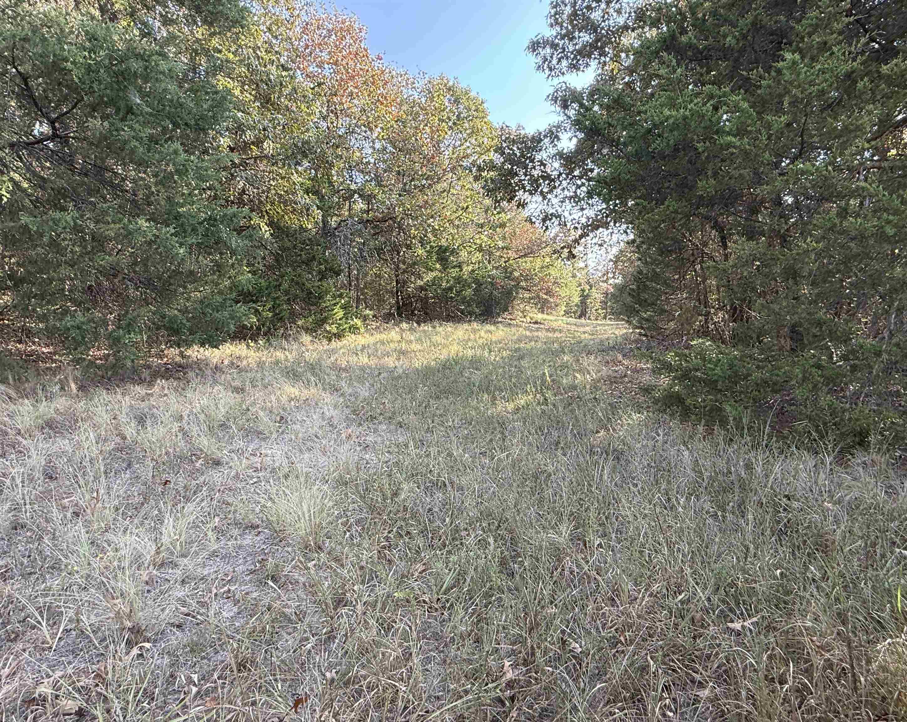 80A Spring Hill Road  Oxford, AR