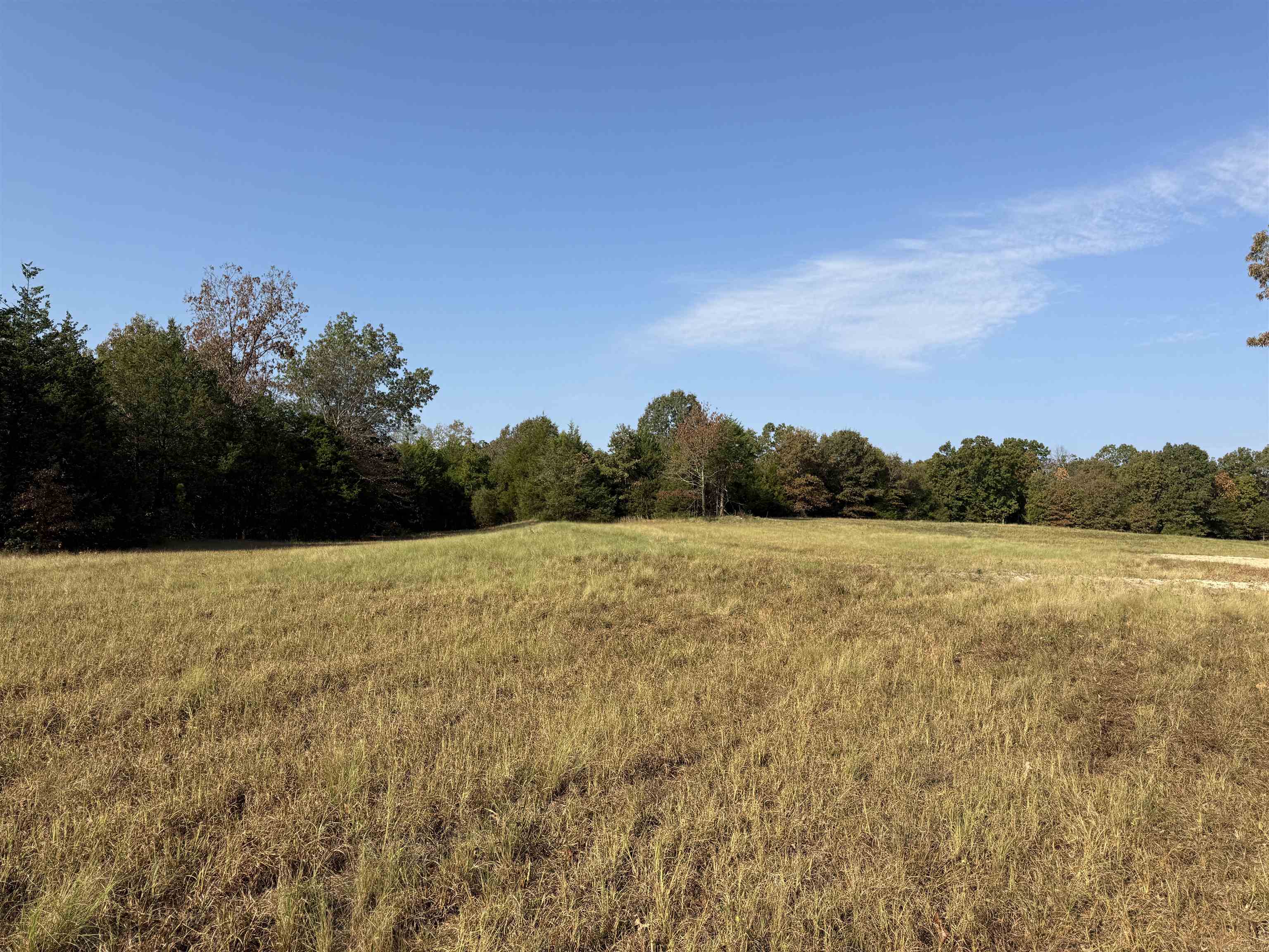 80A Spring Hill Road  Oxford, AR