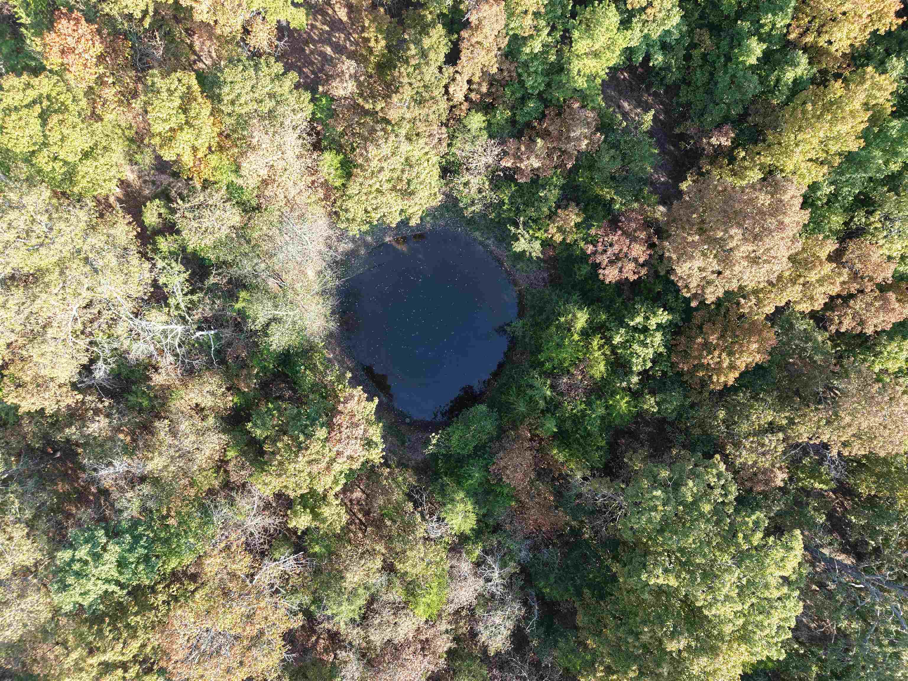 80A Spring Hill Road  Oxford, AR