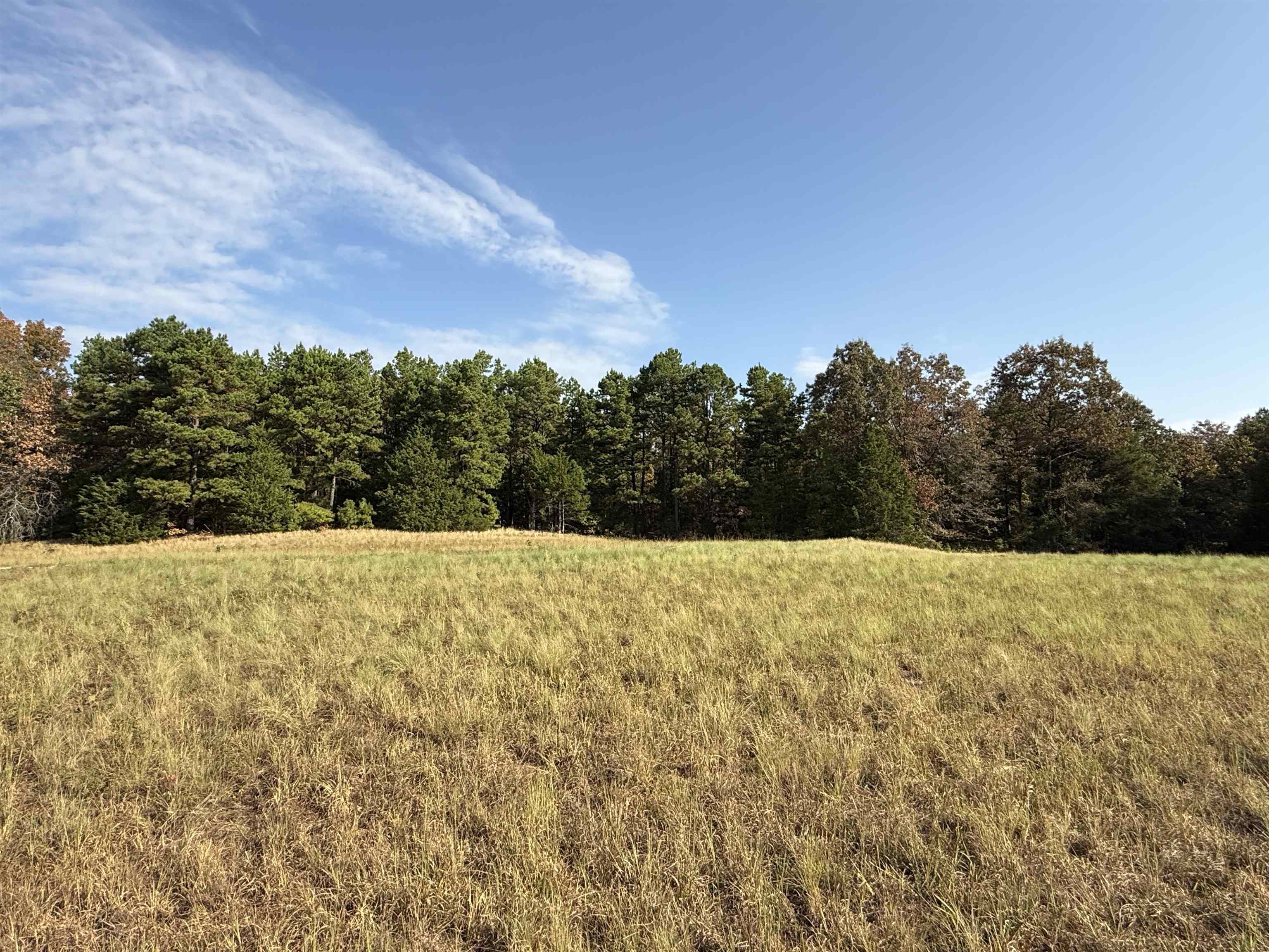 80A Spring Hill Road  Oxford, AR