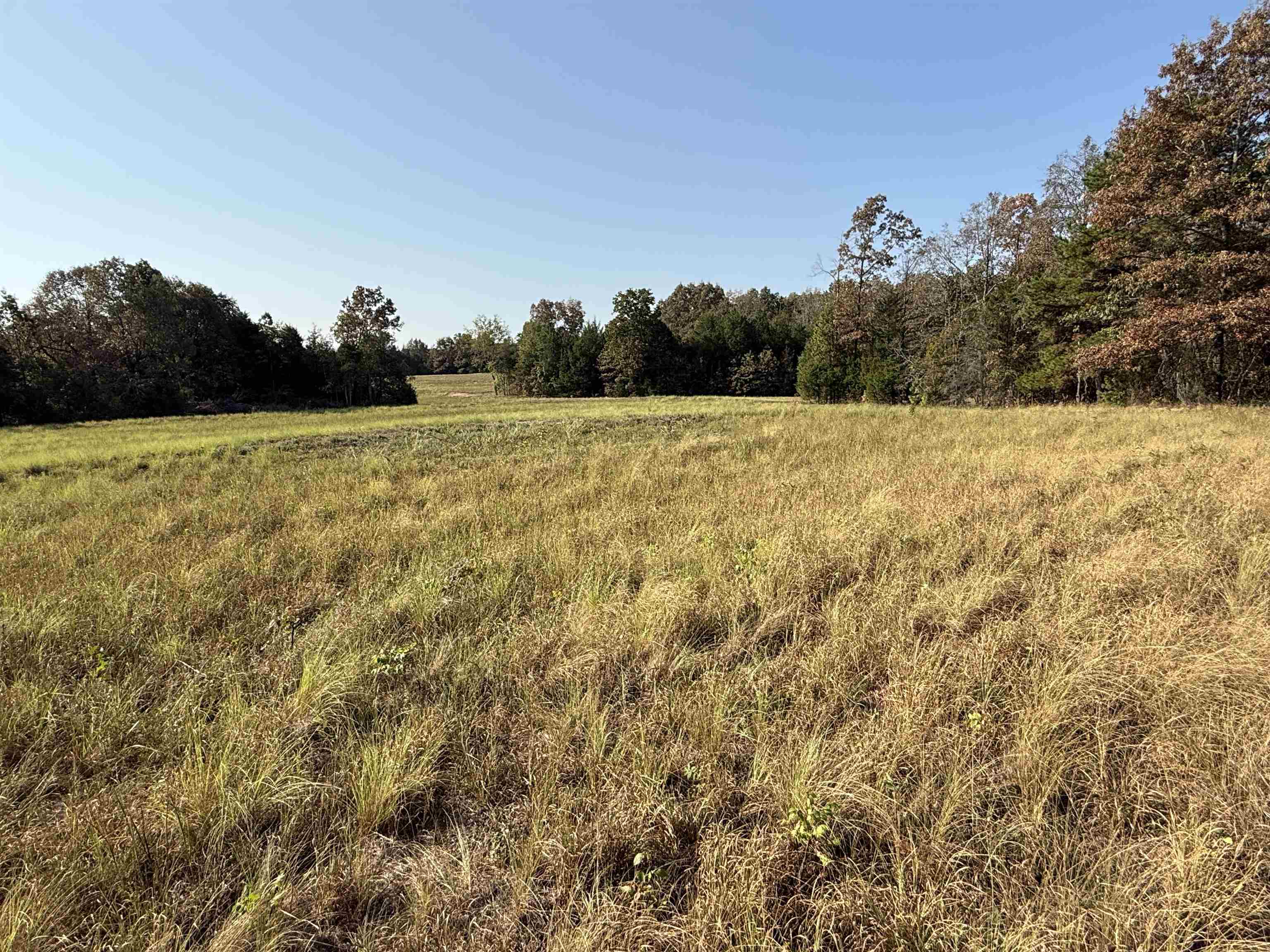 80A Spring Hill Road  Oxford, AR