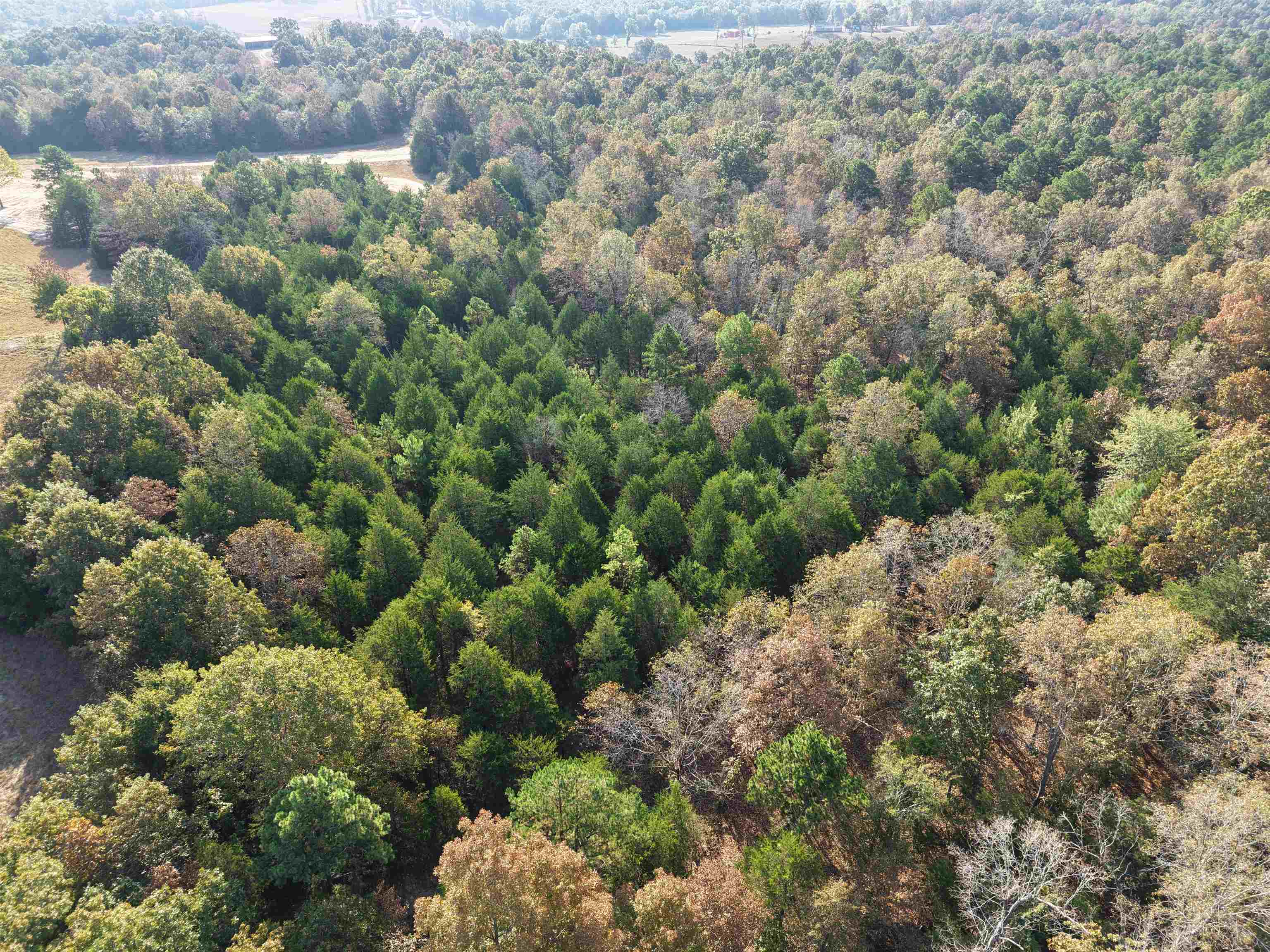 80A Spring Hill Road  Oxford, AR
