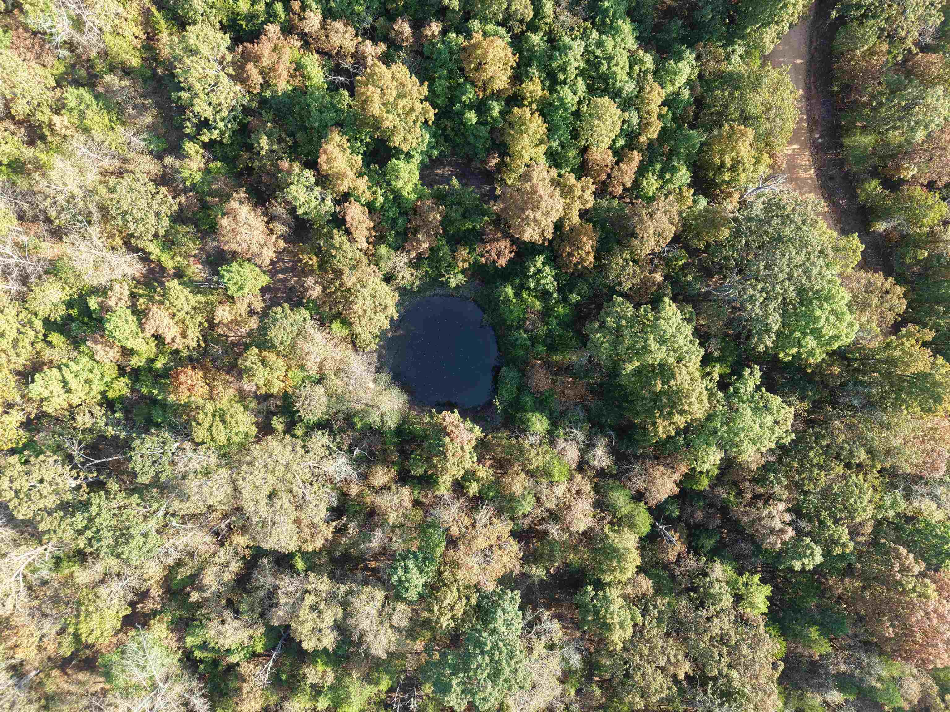 80A Spring Hill Road  Oxford, AR