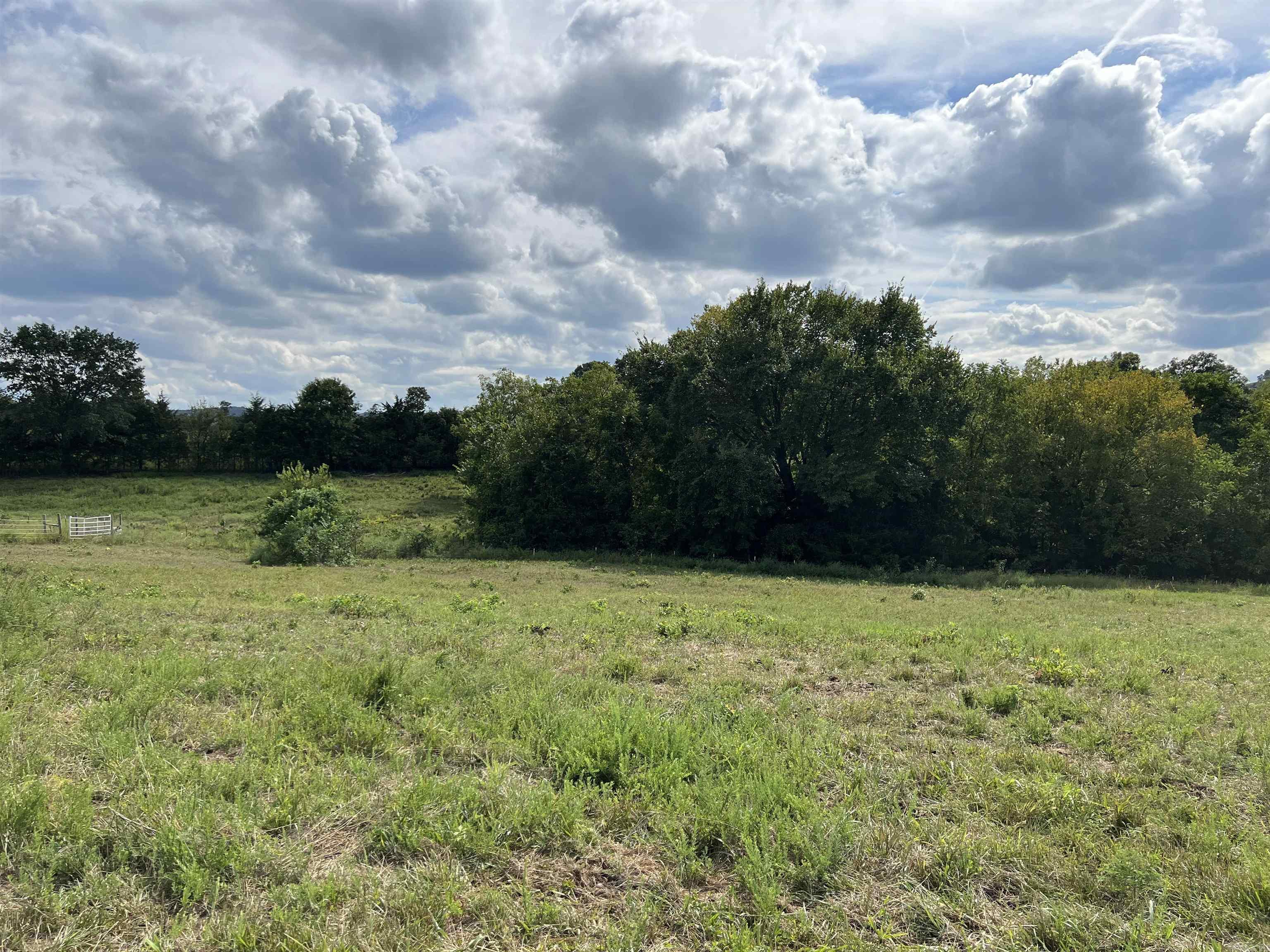 307 Whitetail Drive Harrison, AR 72601