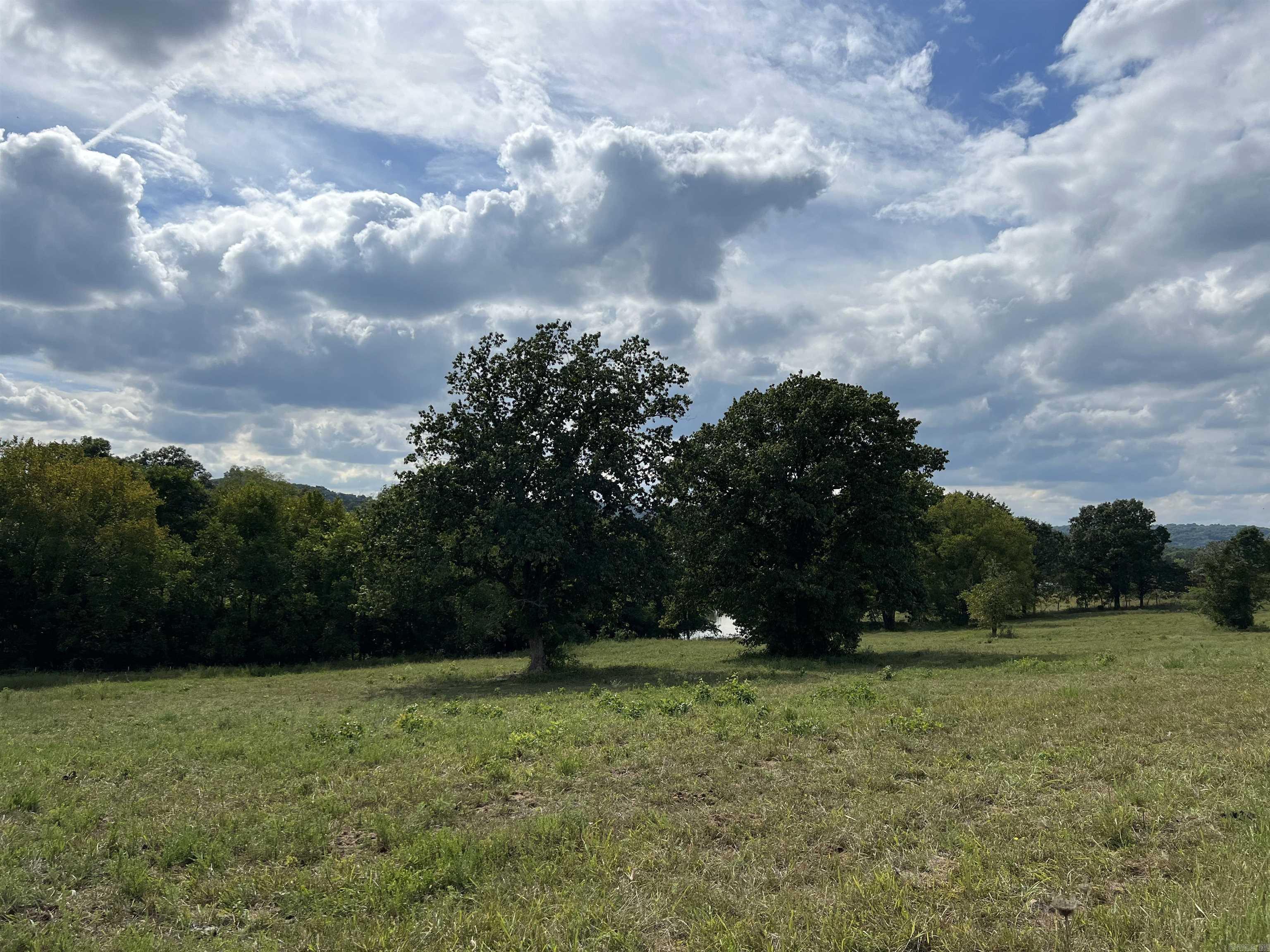 307 Whitetail  Harrison, AR