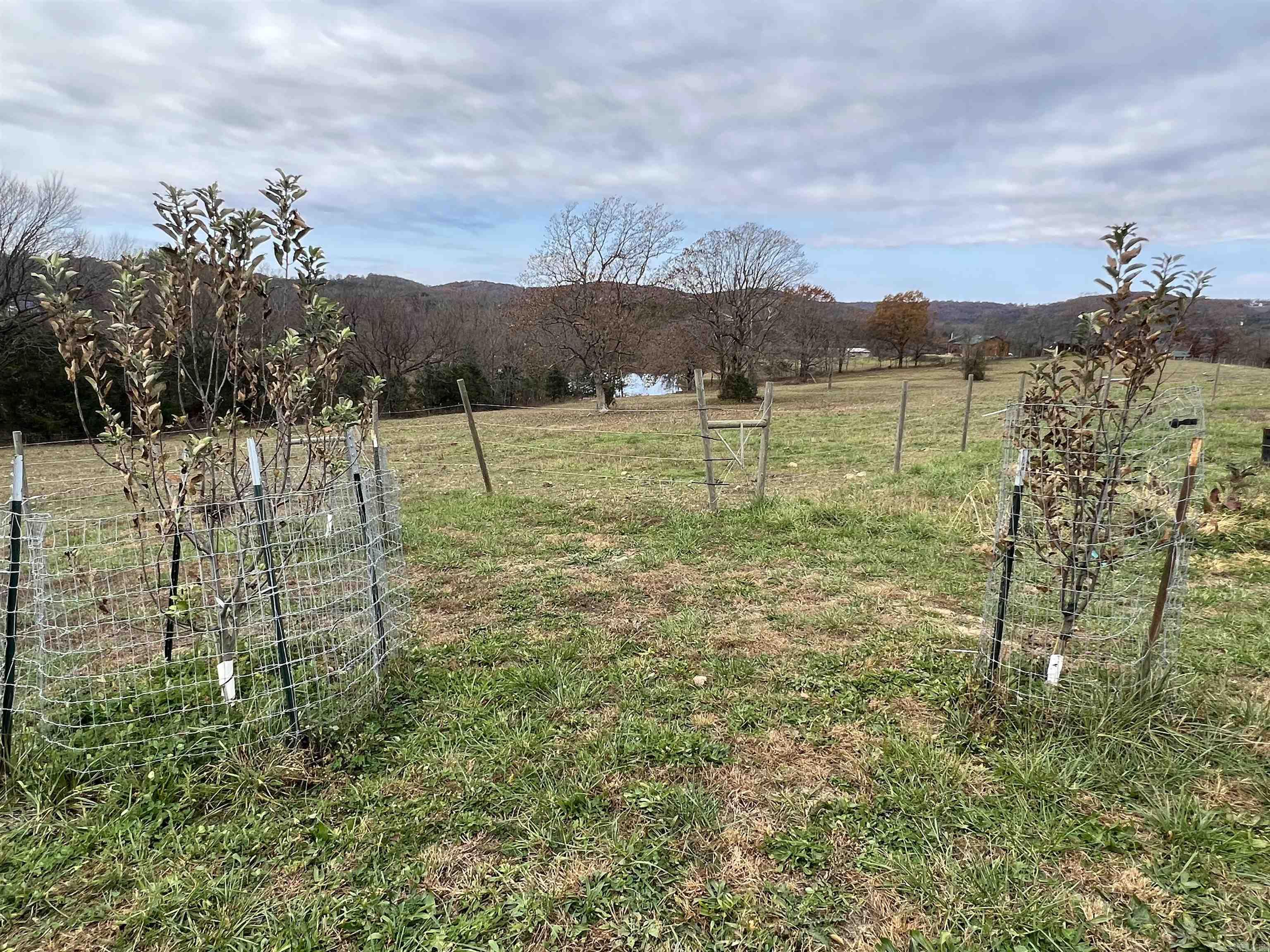 307 Whitetail Drive Harrison, AR 72601