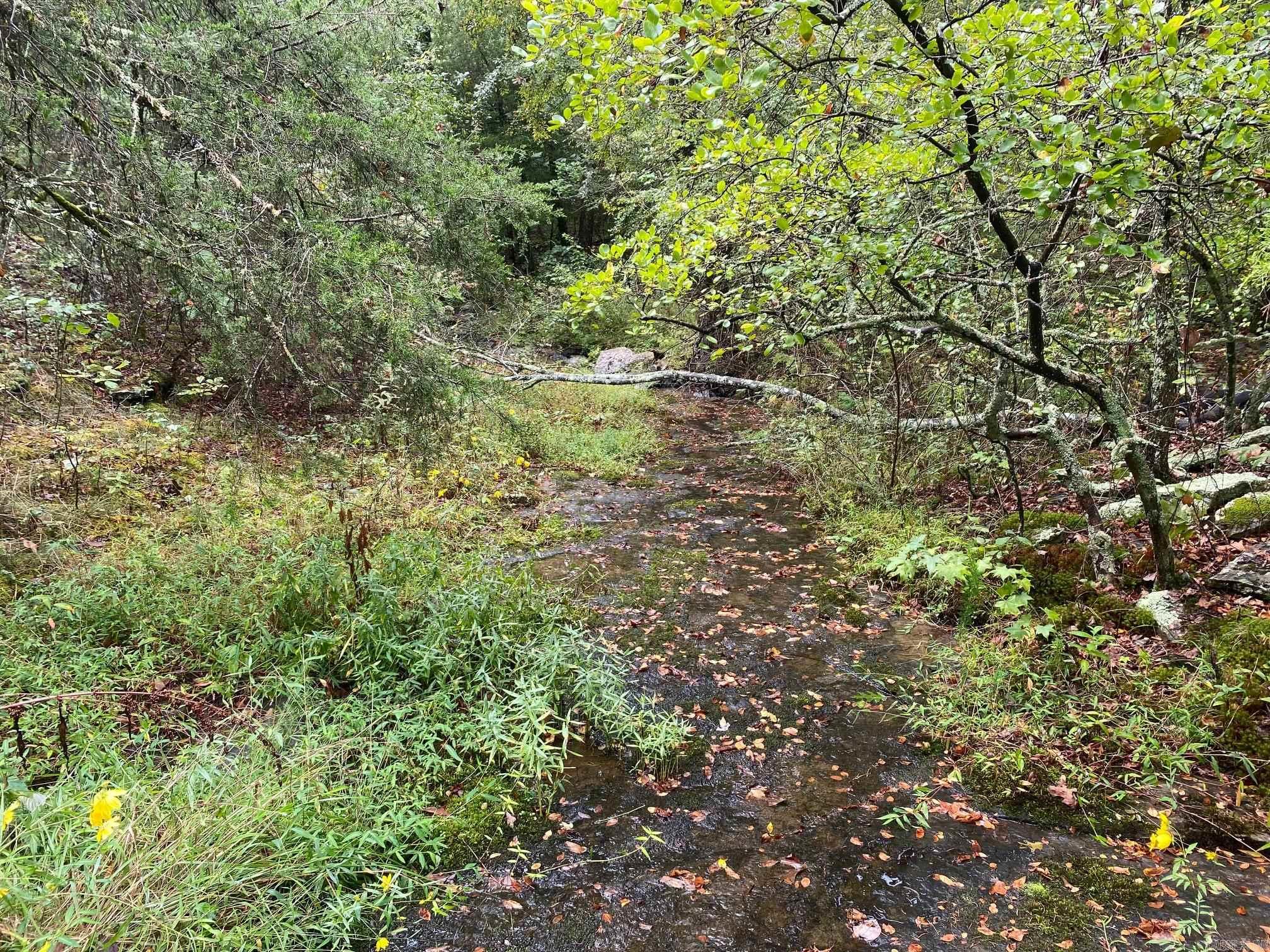000 County Road 4001  Oark, AR