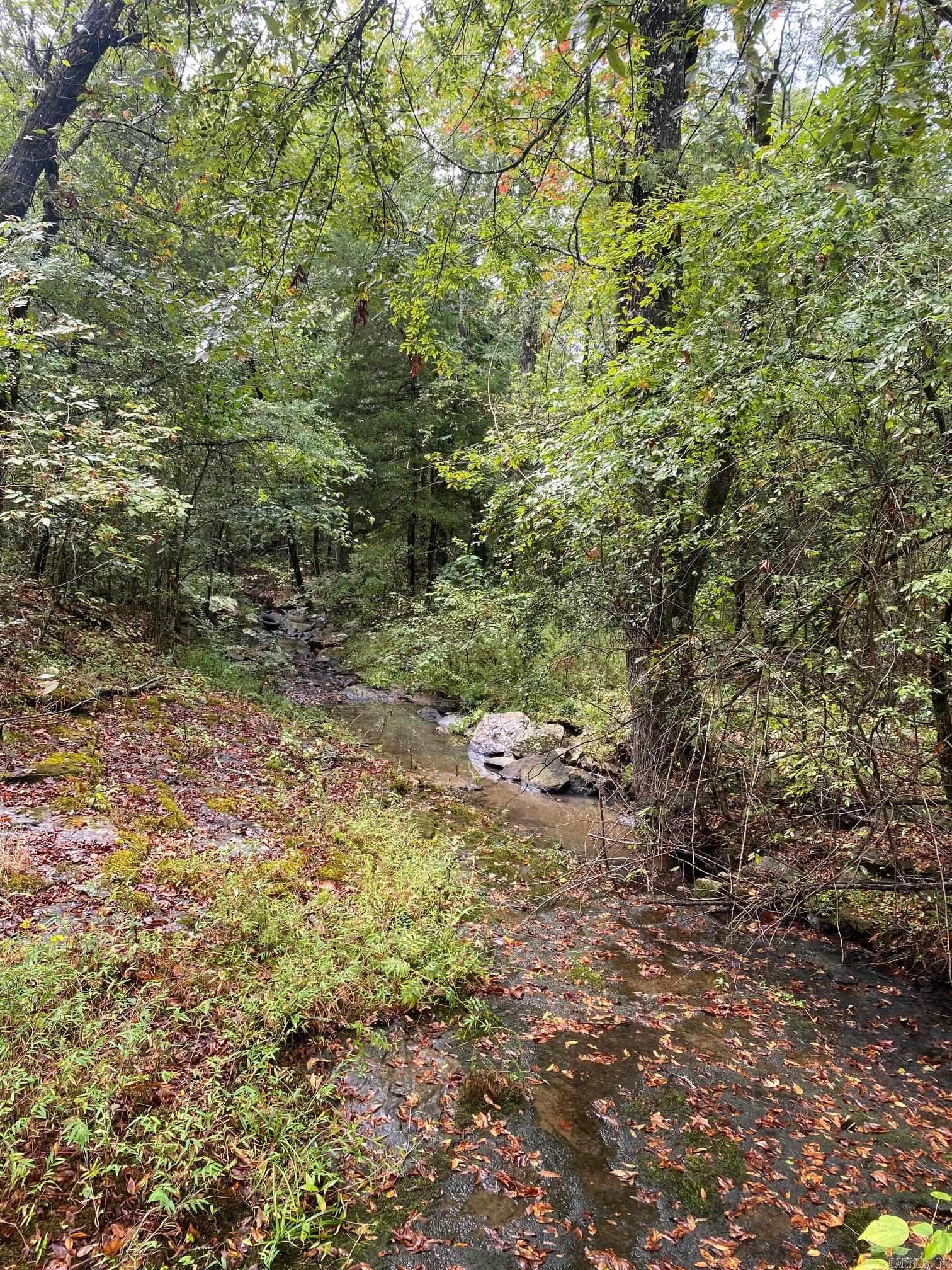 000 County Road 4001  Oark, AR