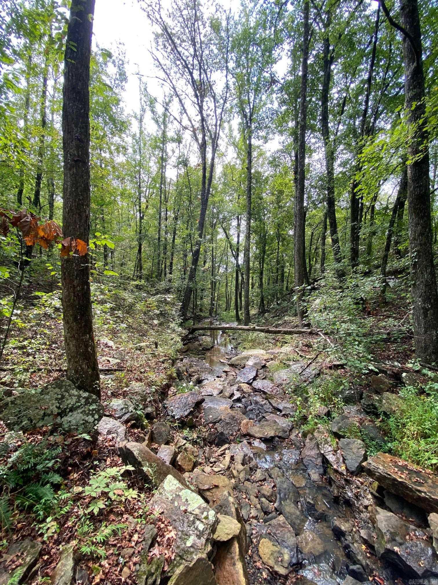000 County Road 4001  Oark, AR