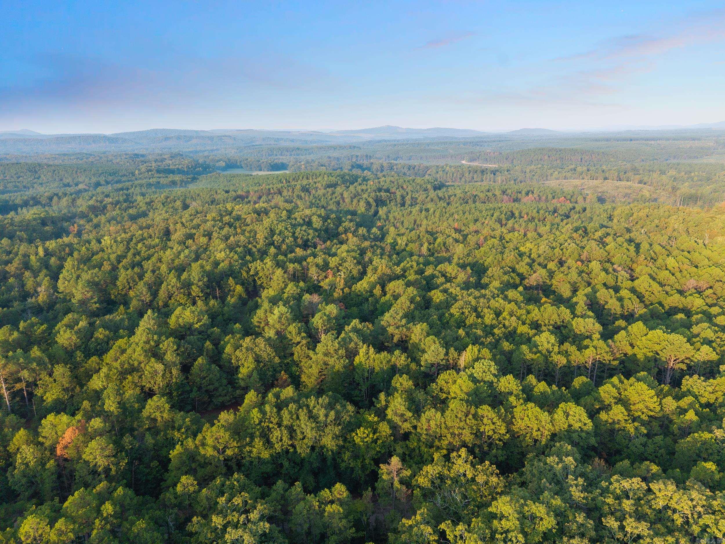 22400 Ross Loop  Paron, AR