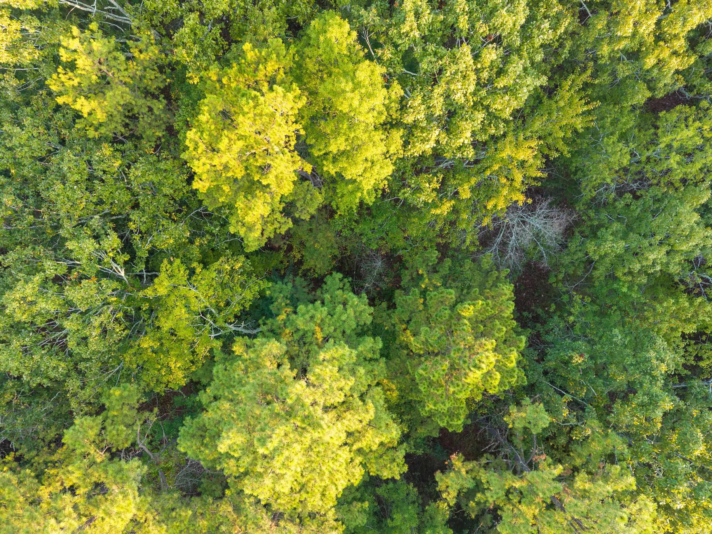 22400 Ross Loop  Paron, AR