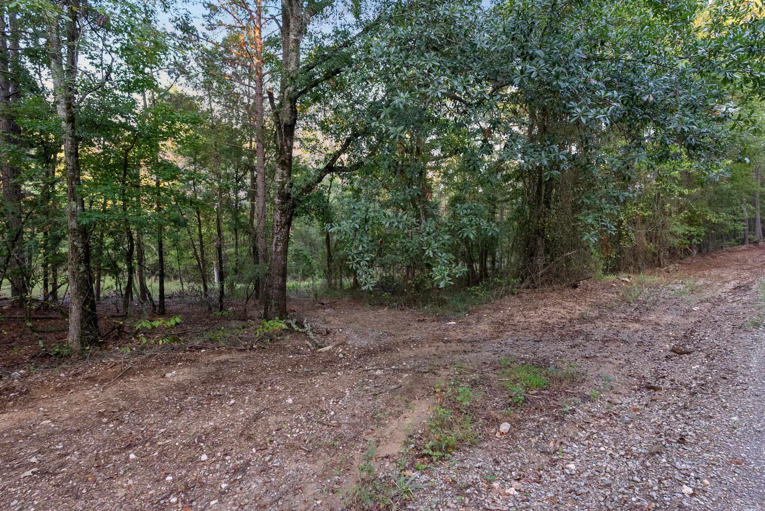 22400 Ross Loop  Paron, AR