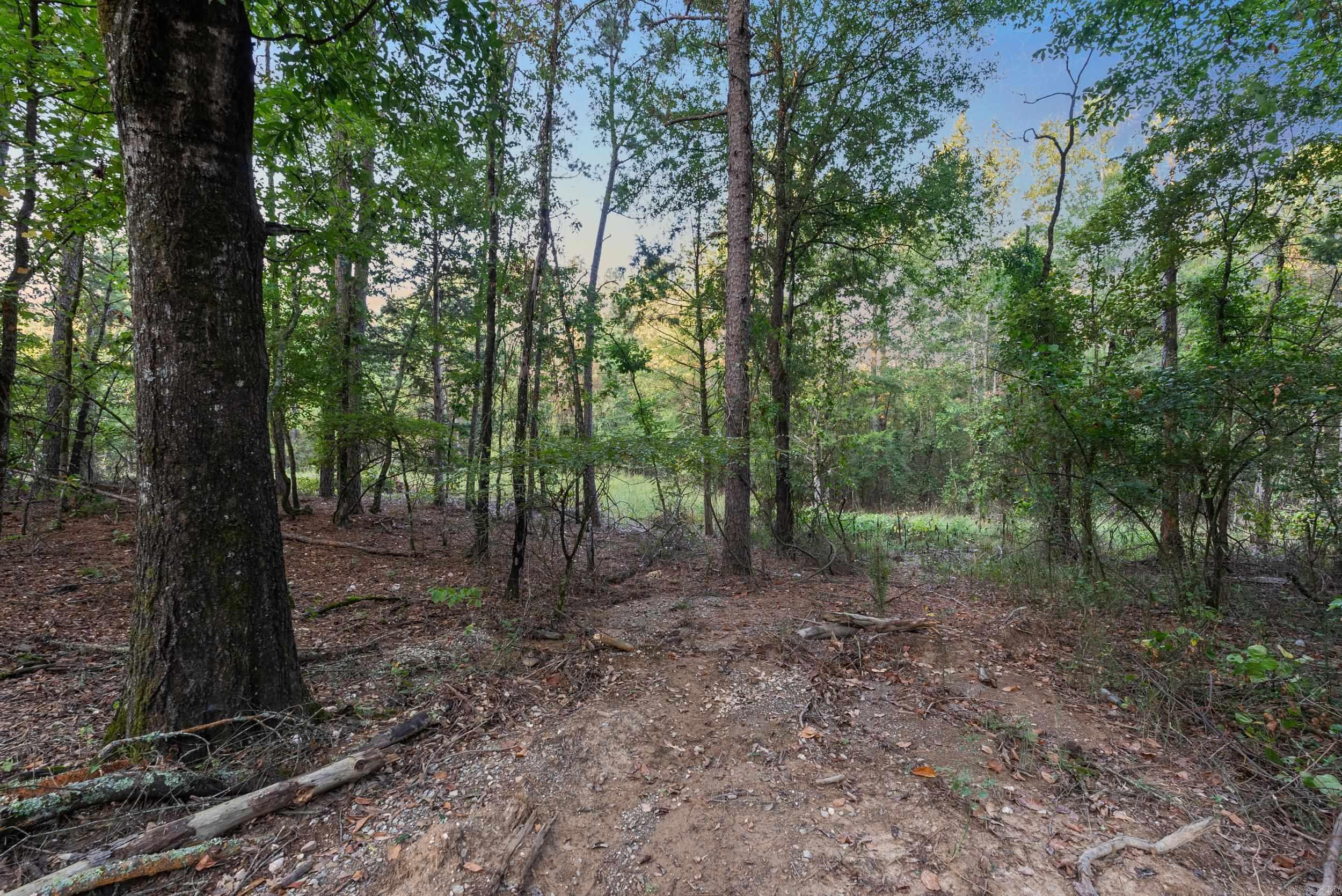 22400 Ross Loop  Paron, AR
