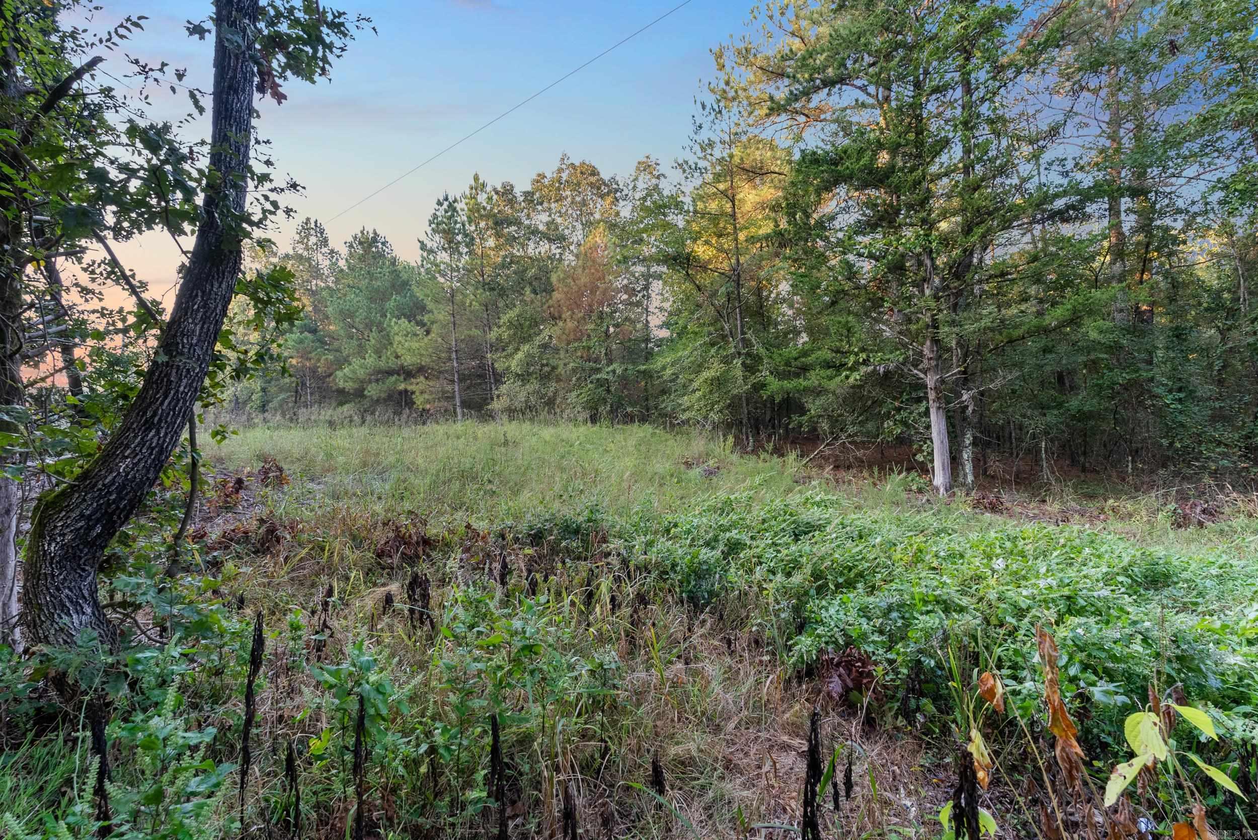 22400 Ross Loop  Paron, AR