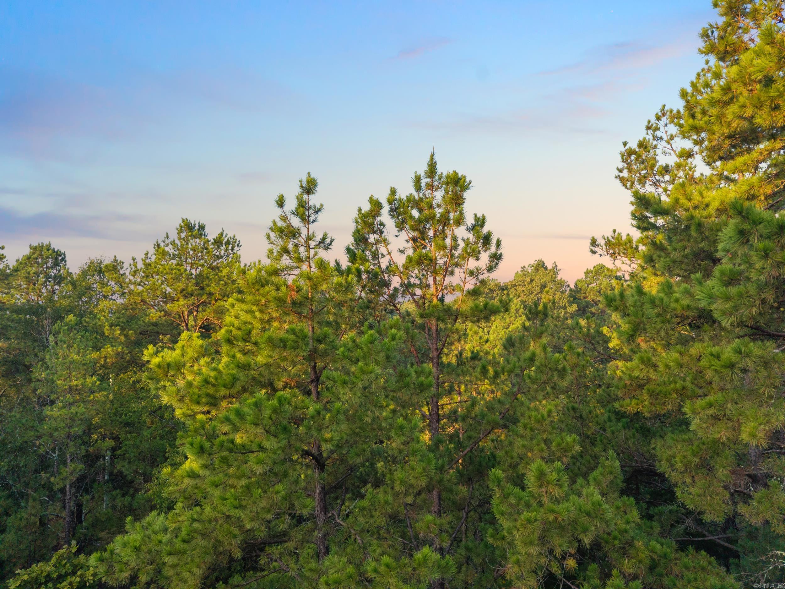 22350 Ross Loop  Paron, AR