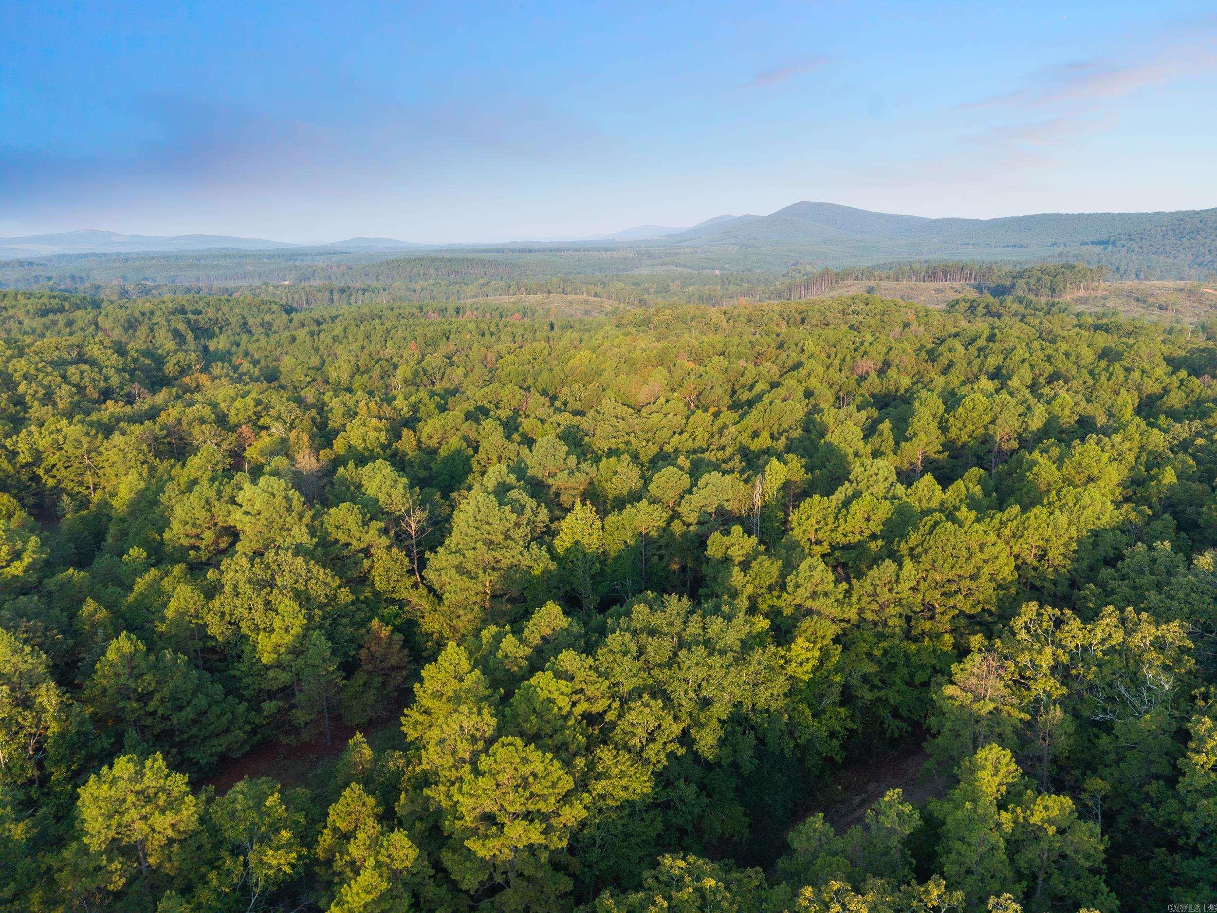 22350 Ross Loop  Paron, AR