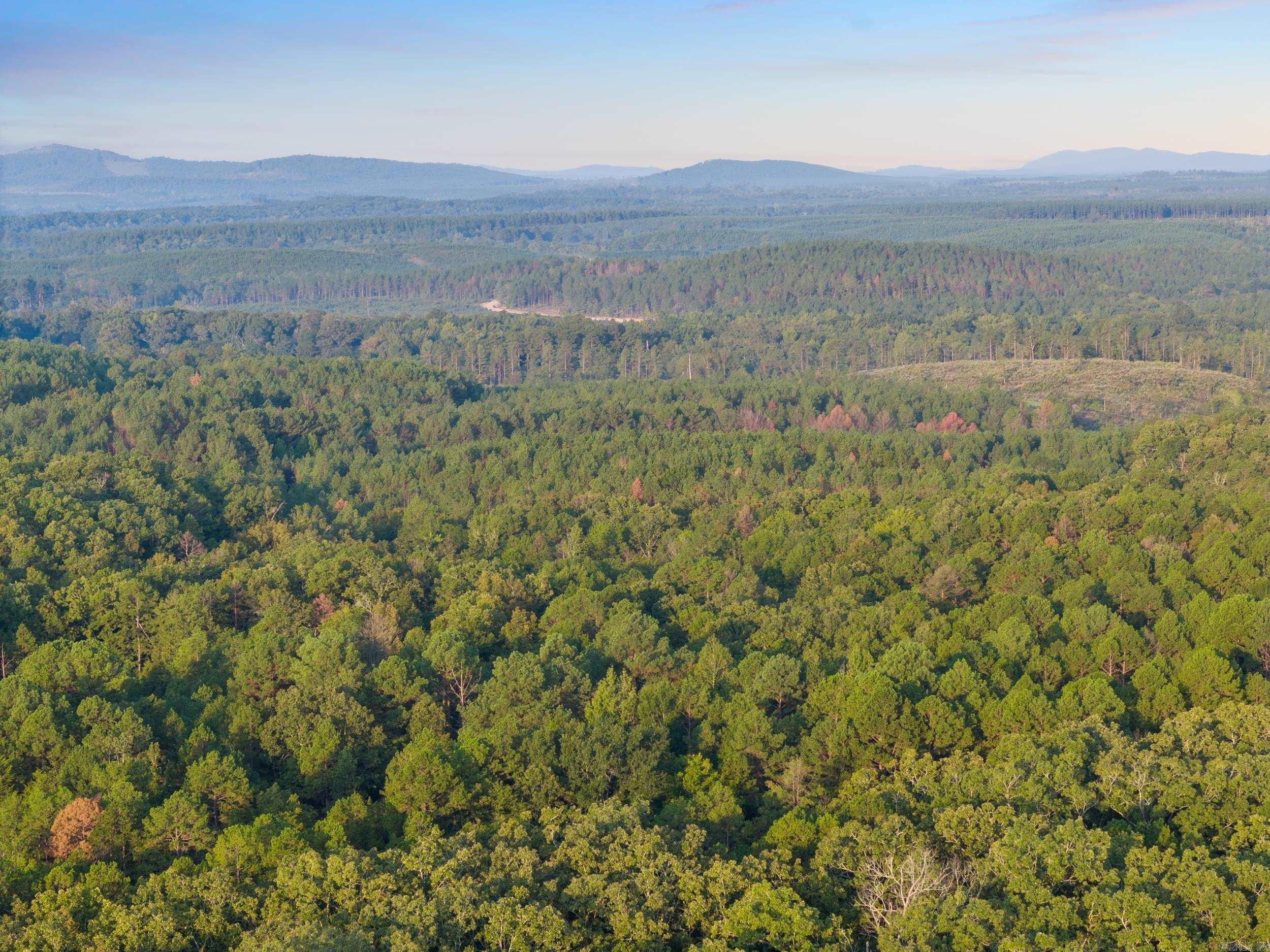 22350 Ross Loop  Paron, AR
