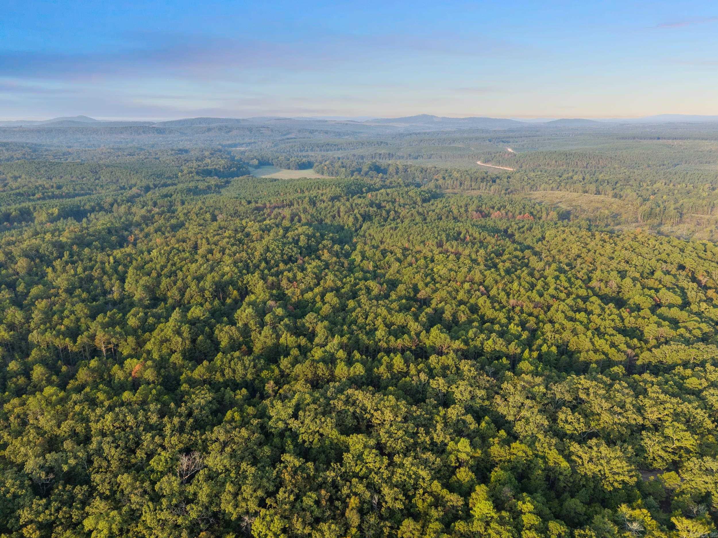 22350 Ross Loop  Paron, AR