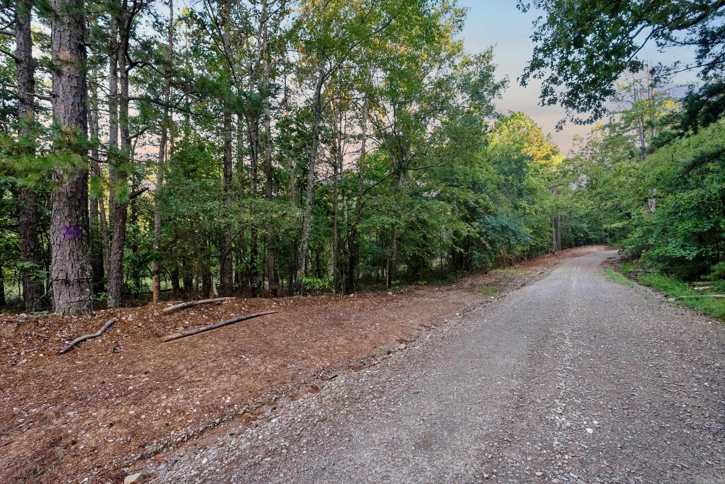 22350 Ross Loop  Paron, AR