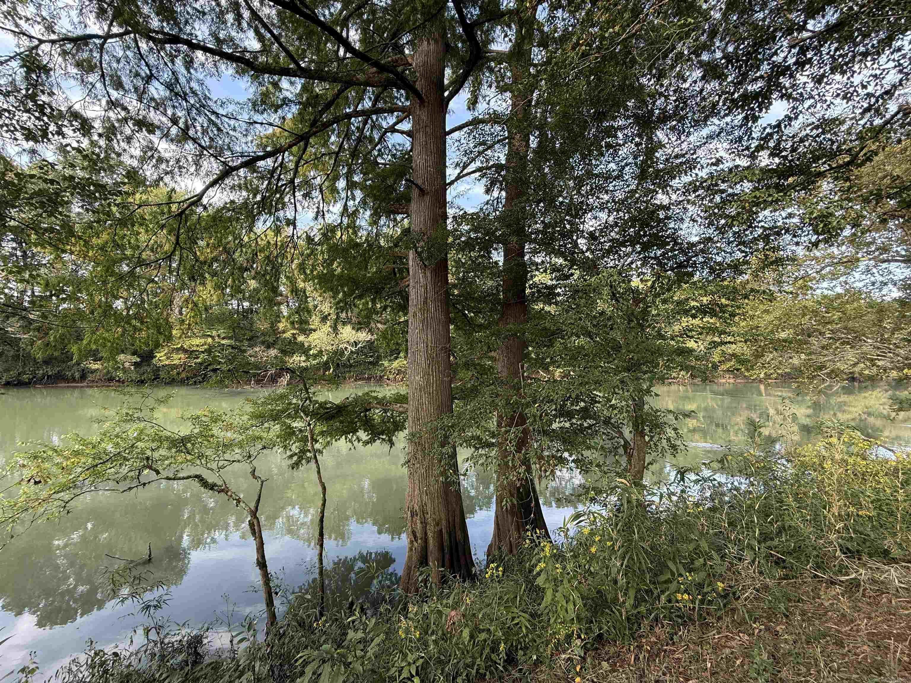 000 Old River Rd.  Pangburn, AR