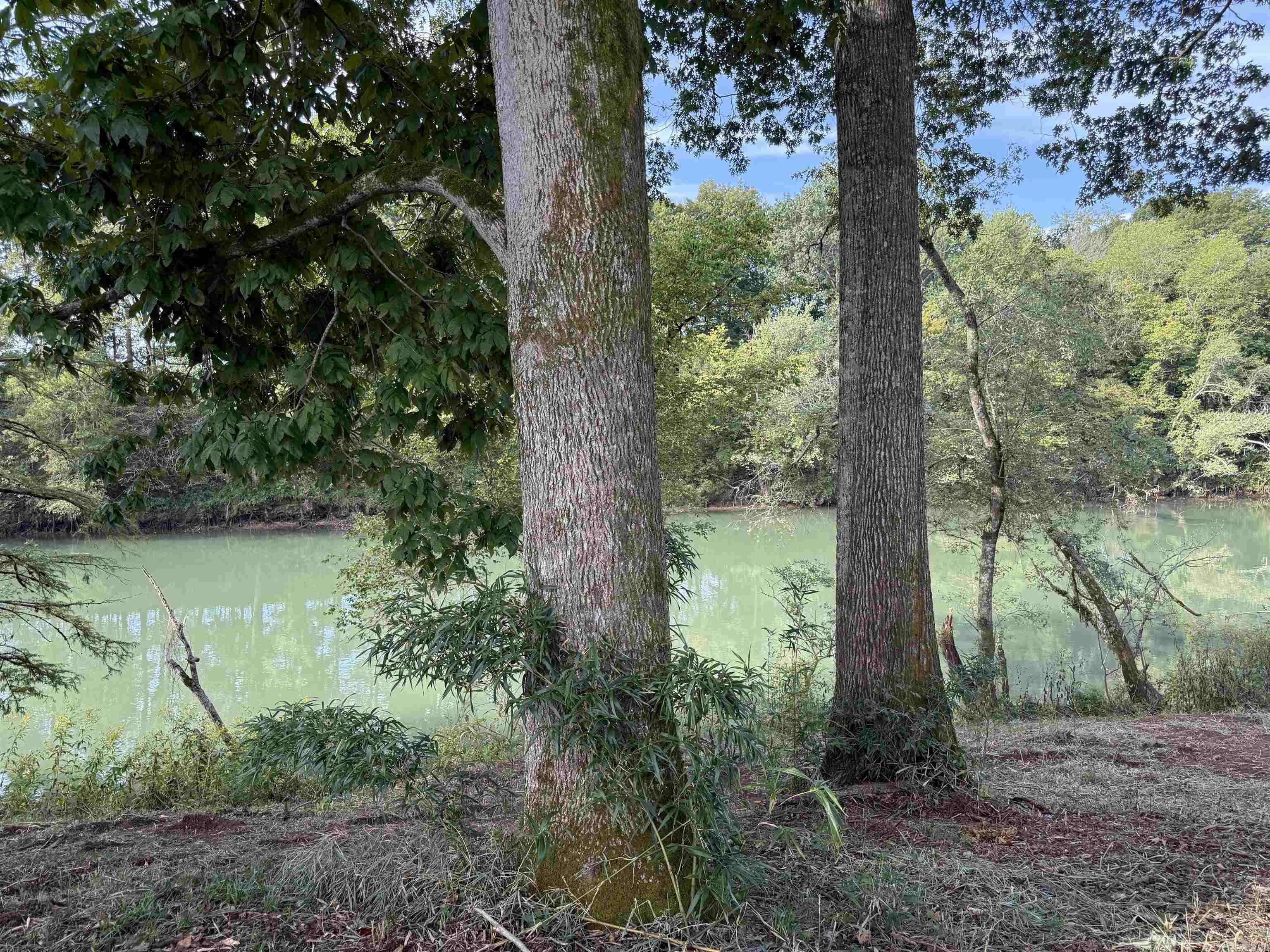 000 Old River Rd.  Pangburn, AR