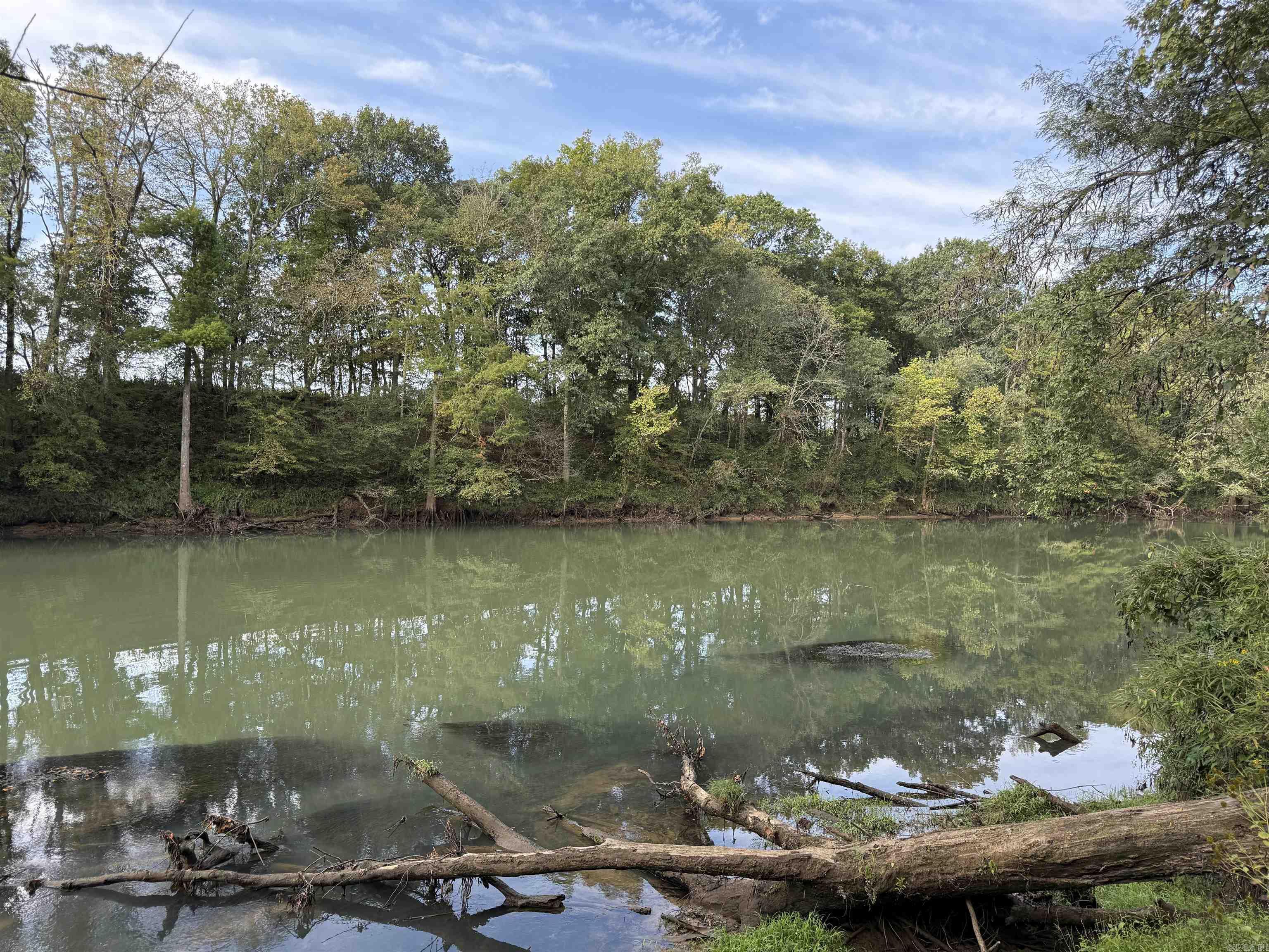 000 Old River Rd.  Pangburn, AR