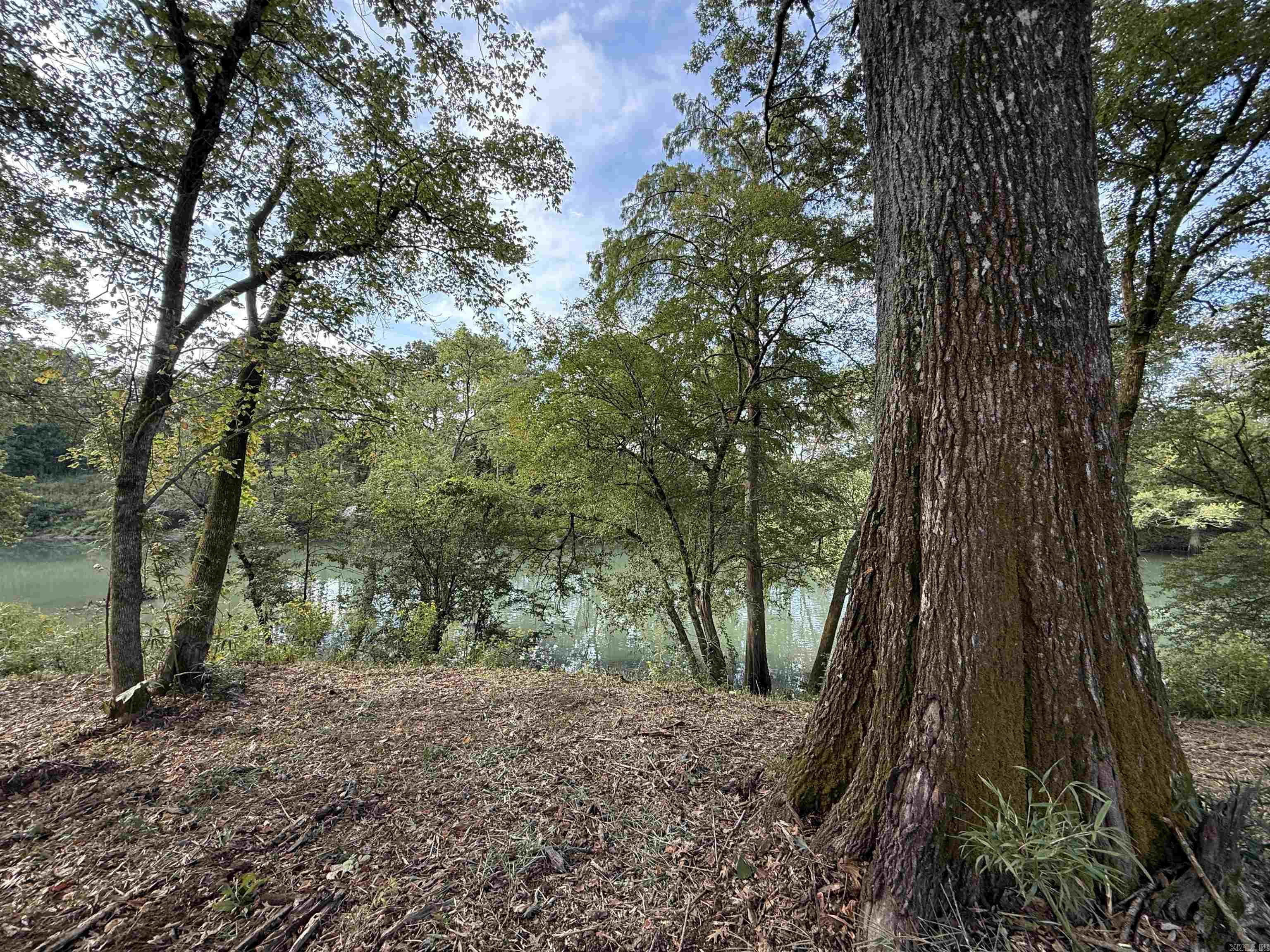 000 Old River Rd.  Pangburn, AR