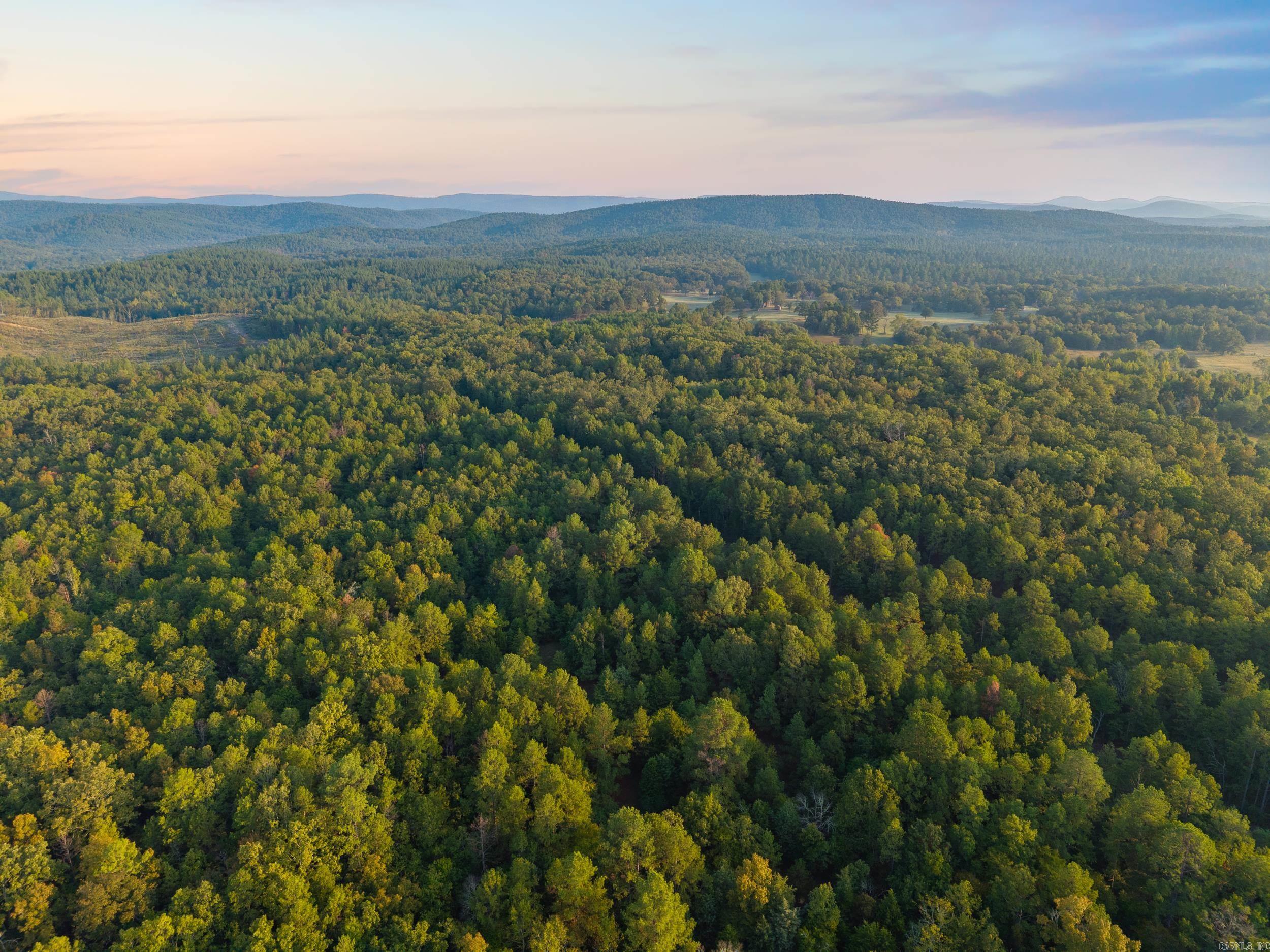 22450 Ross Loop  Paron, AR