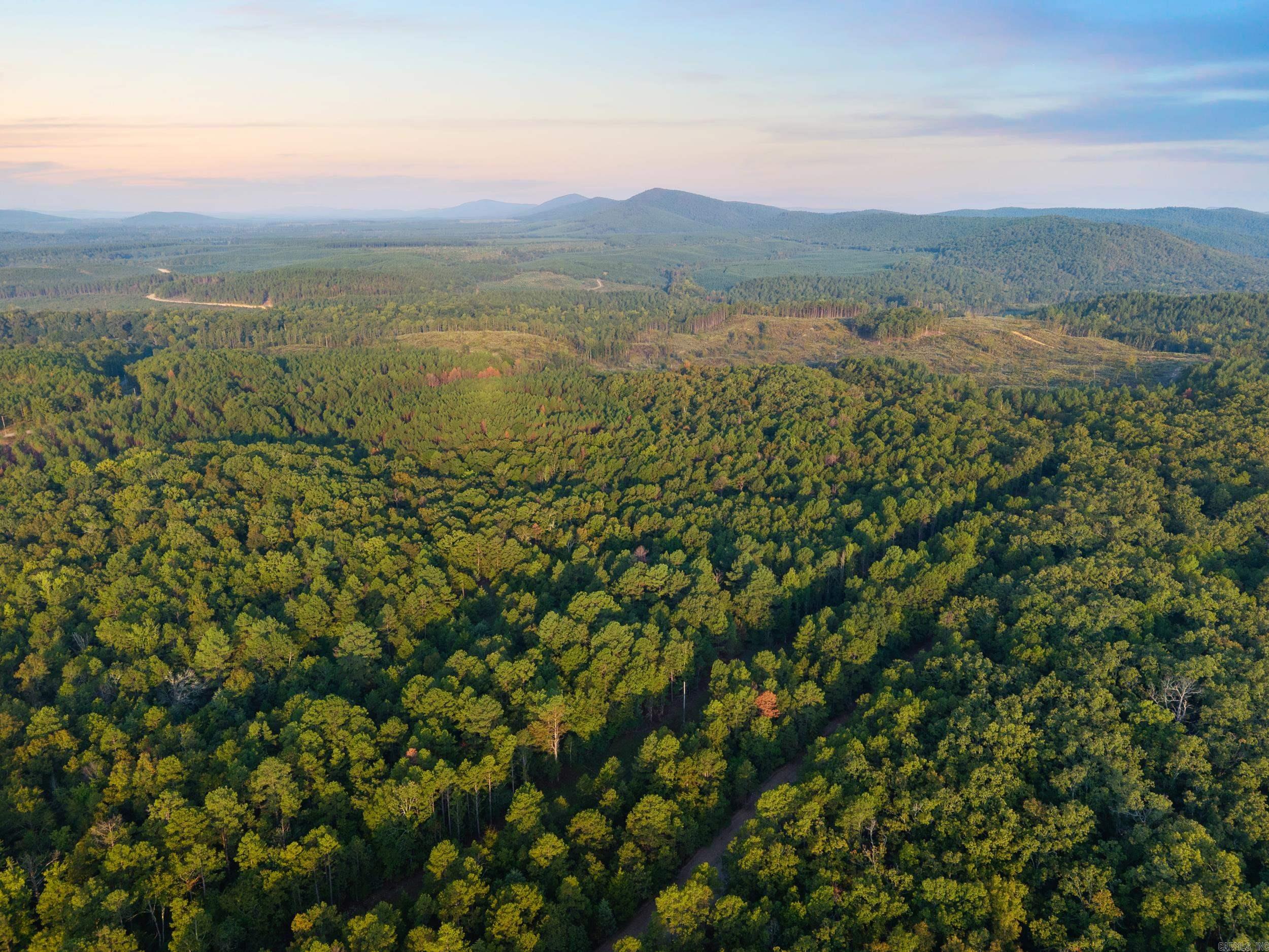 22450 Ross Loop  Paron, AR