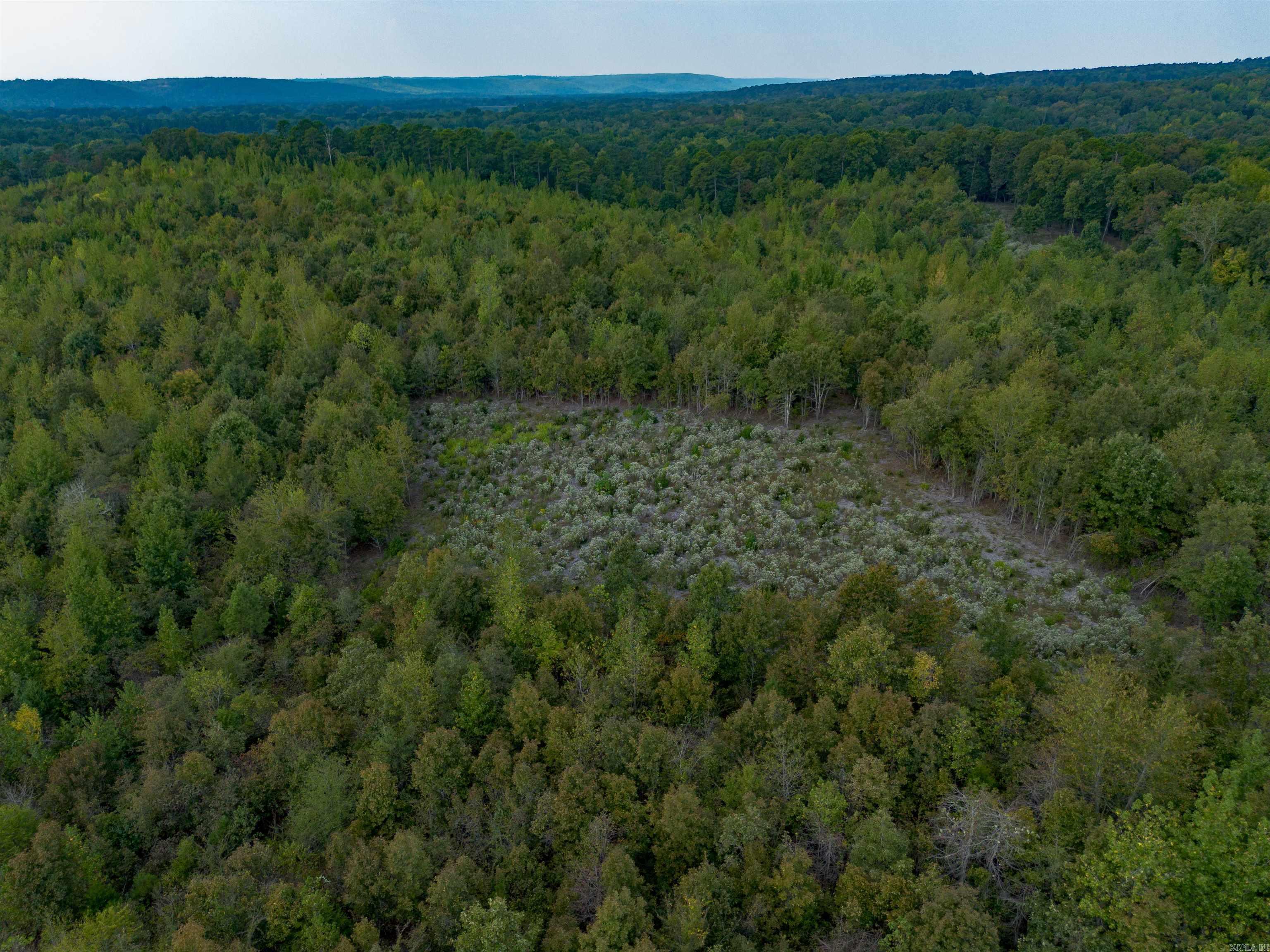 1 River Way Rd.  Pangburn, AR