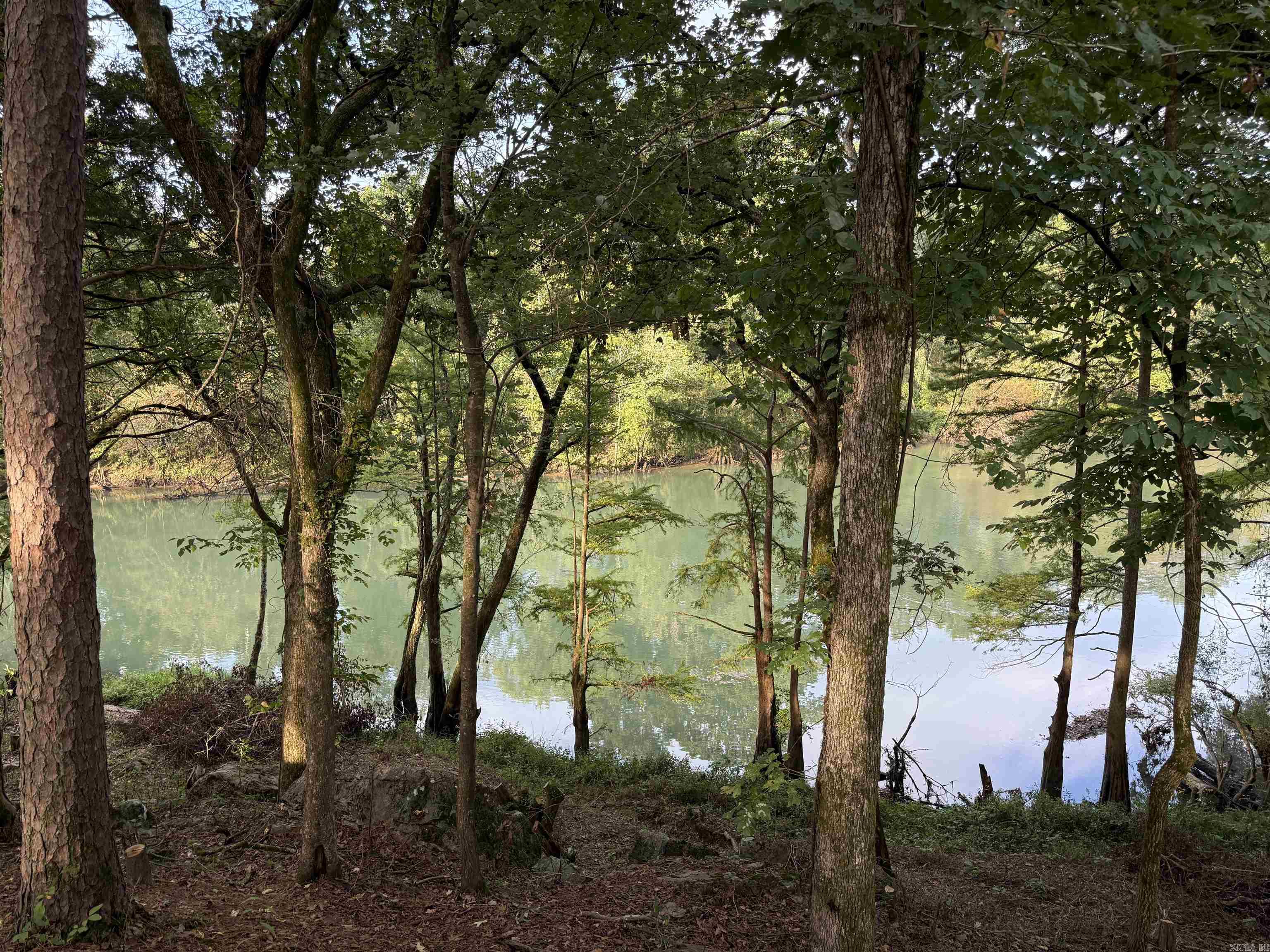 1 River Way Rd.  Pangburn, AR