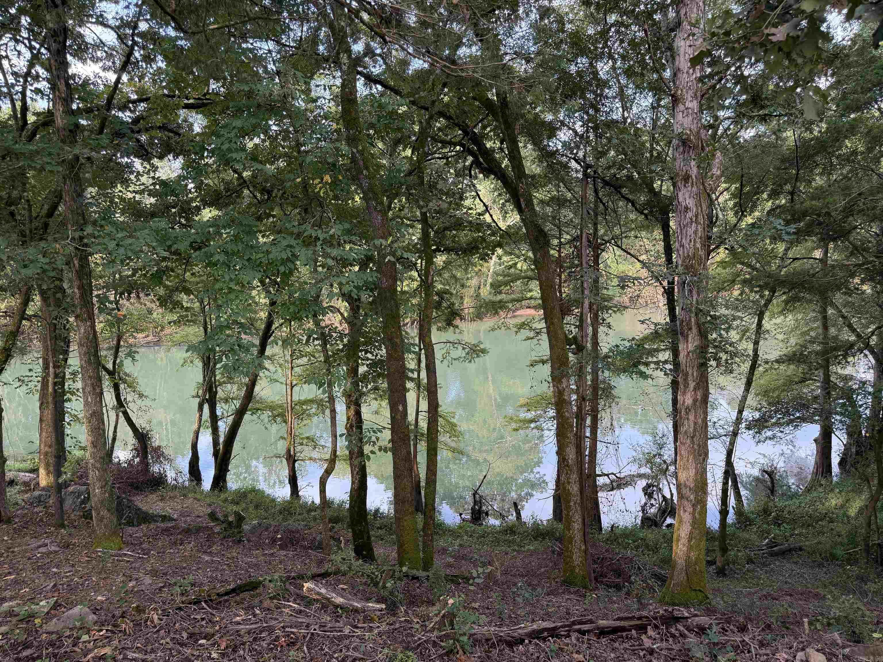 1 River Way Rd.  Pangburn, AR