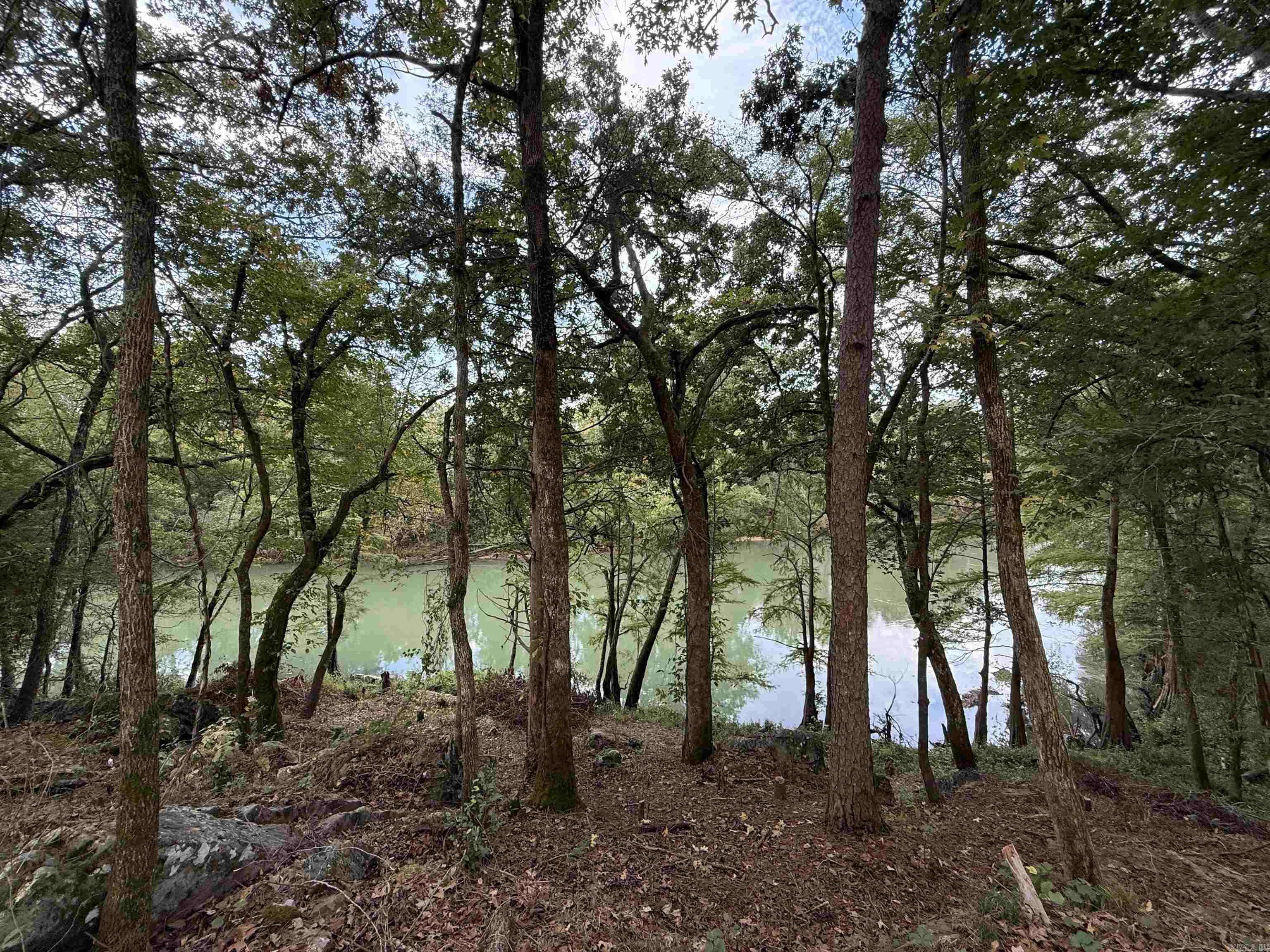 1 River Way Rd.  Pangburn, AR
