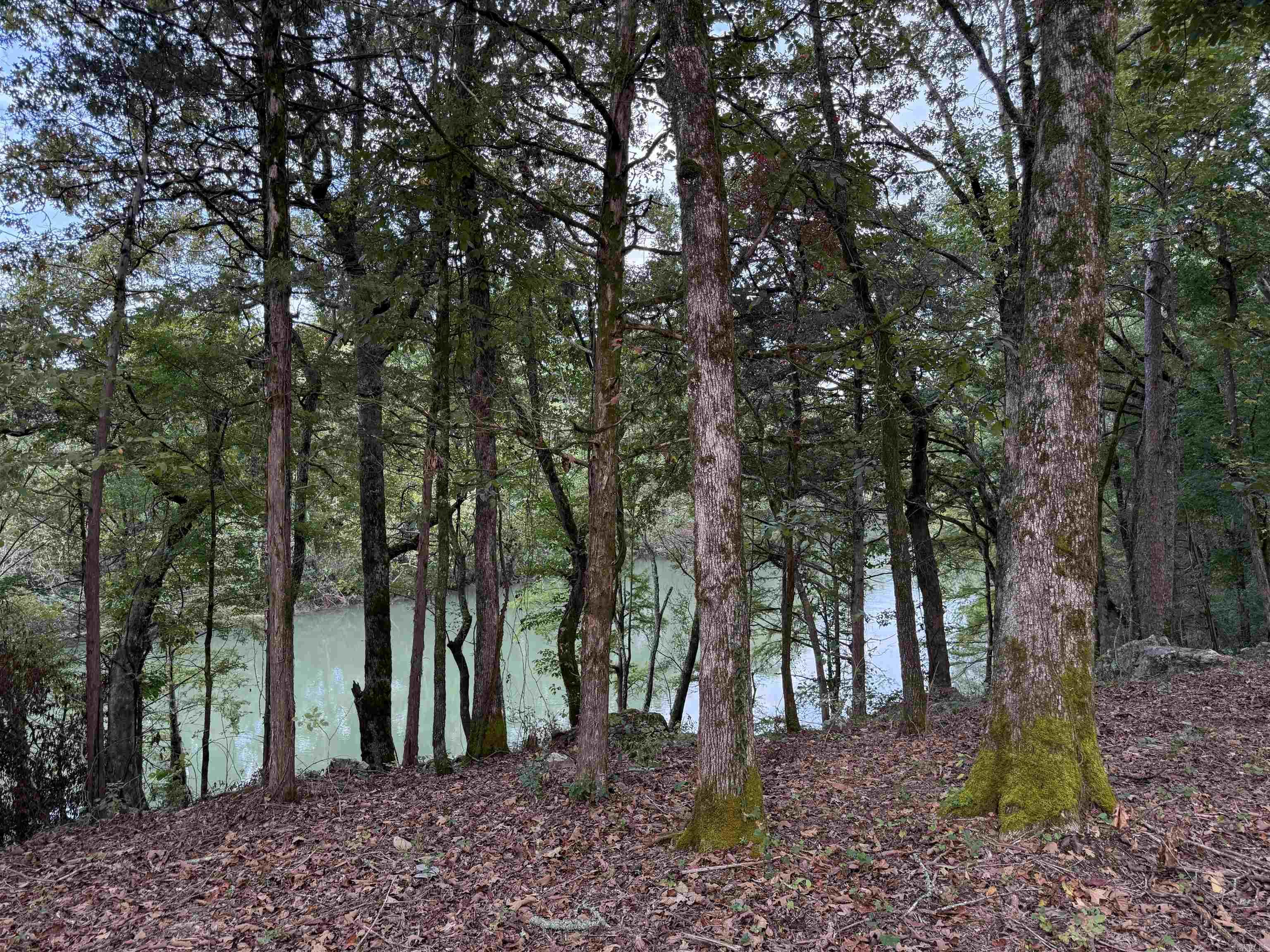1 River Way Rd.  Pangburn, AR