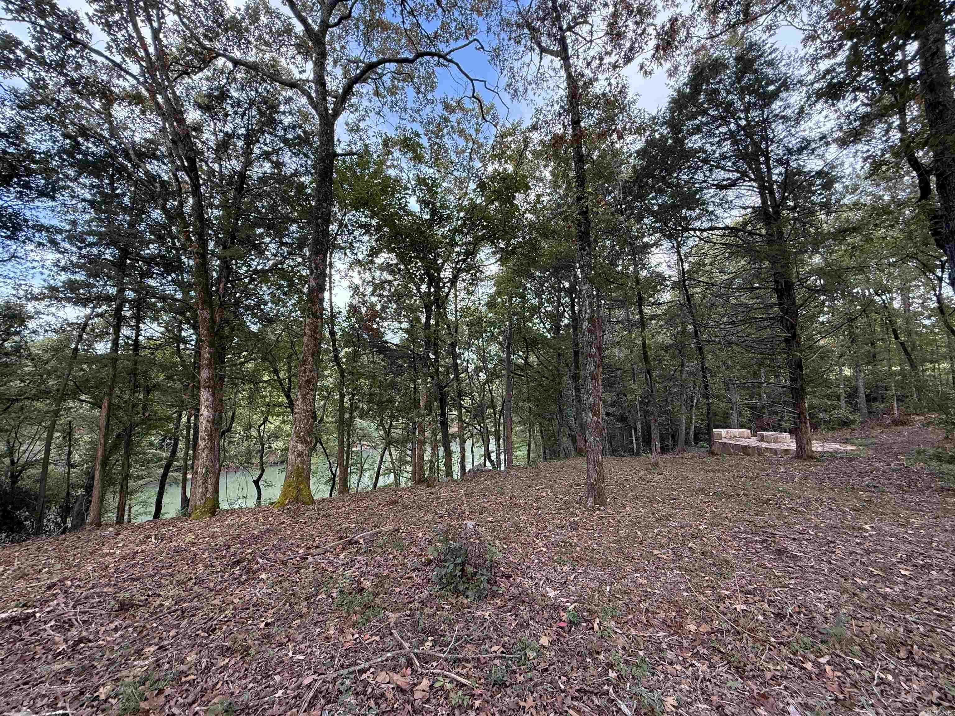 1 River Way Rd.  Pangburn, AR